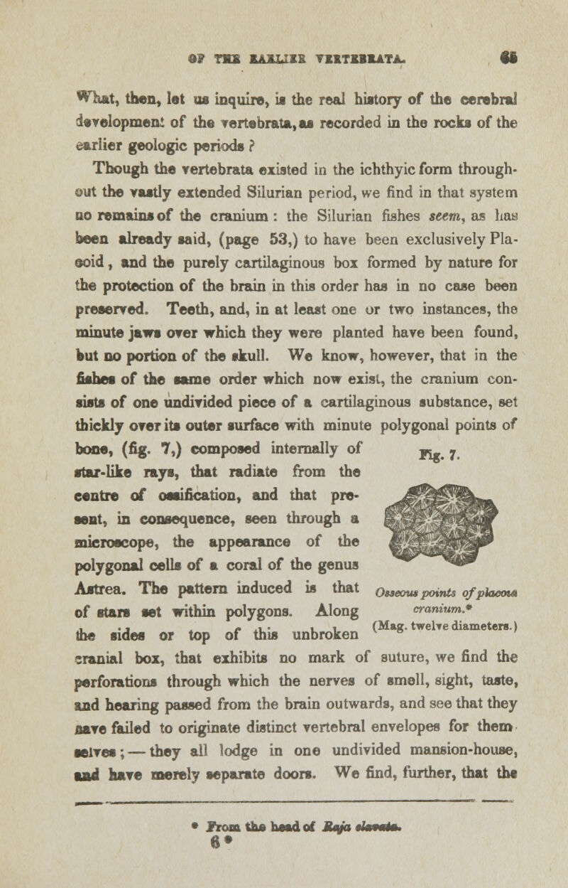 0? TMX IA1LIIX VKITZB1ATA. ft What, then, lot as inquire, ii the real history of the cerebral developmenl of the vertebrata,as recorded in the rocks of the earlier geologic periods ? Though the Tertebrata existed in the ichthyic form through- out the vastly extended Silurian period, we find in that system no remains of the cranium : the Silurian fishes seem, as has been already said, (page 53,) to have been exclusively Pla- eoid, and the purely cartilaginous box formed by nature for the protection of the brain in this order has in no case been preserved. Teeth, and, in at least one or two instances, the minute jaws over which they were planted have been found, but no portion of the skull. We know, however, that in the fishes of the same order which now exist, the cranium con- sists of one undivided piece of a cartilaginous substance, set thickly over its outer surface with minute polygonal points of bone, (fig. 7,) composed internally of y^ 7 star-like rays, that radiate from the centre of ossification, and that pre- sent, in consequence, seen through a microscope, the appearance of the polygonal cells of a coral of the genus Astrea. The partem induced is that oueom points ofpkuxn* of stars set within polygons. Along cranium* . ., • -i« .1 (Mag. twelre diameters.) the sides or top of this unbroken ° cranial box, that exhibits no mark of suture, we find the perforations through which the nerves of smell, sight, taste, and hearing passed from the brain outwards, and see that they cave failed to originate distinct vertebral envelopes for them serres; — they all lodge in one undivided mansion-house, and have merely separate doors. We find, further, that th« • JtomtbAhMdof Mqa $l»9wtm,