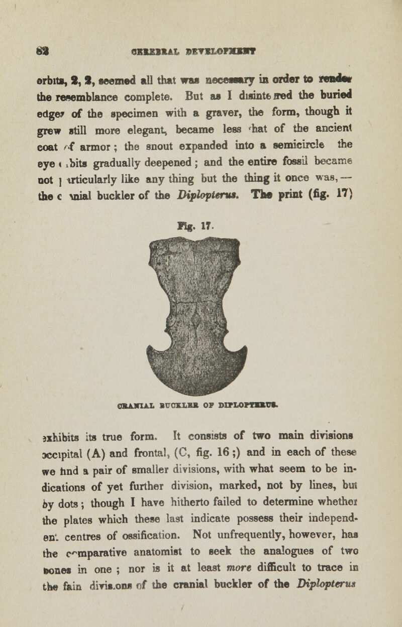 69 QKiBiKAL BBVK&onoirr ©rbita, 2, *, seemed all that was necewary in order to vendor the resemblance complete. But as I dismte ffed the buried edger of the specimen with a graver, the form, though h grew still more elegant, became less 'hat of the ancient coat rf armor; the snout expanded into a semicircle the eye « ibits gradually deepened; and the entire fossil became not ] trticularly like any thing but the thing it once was, — the c \nial buckler of the Diphptenu. Too print (fig. 17) R«. IT. coLuruo. buckm* op Dmorraus. jxhibits its true form. It consists of two main divisions ttcipital (A) and frontal, (C, fig. 16;) and in each of these we tind a pair of smaller divisions, with what seem to be in- dications of yet further division, marked, not by lines, but by dots; though I have hitherto failed to determine whether the plates which these last indicate possess their independ- ent centres of ossification. Not unfrequently, however, has the comparative anatomist to seek the analogues of two bones in one ; nor is it at least more difficult to trace in the fain divis.ona of the cranial buckler of the Diplopterw