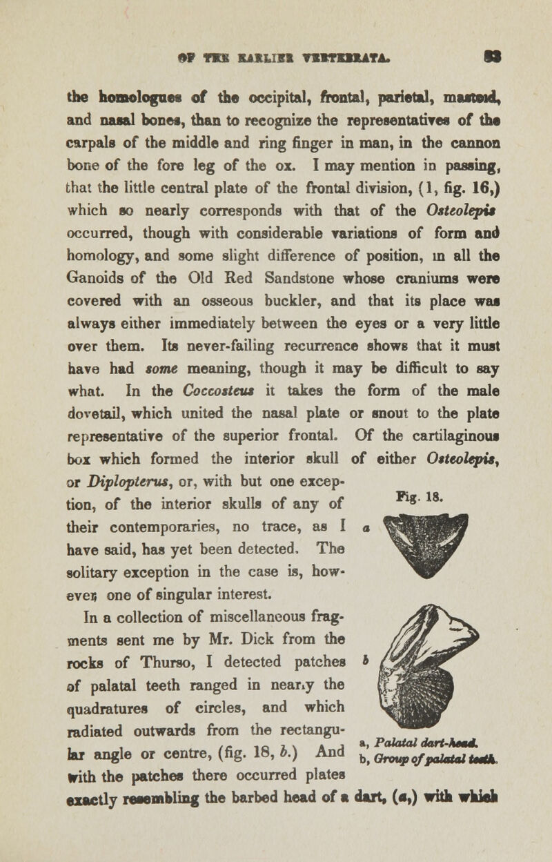 9F TK1 KAJLUX1 TSBTDXATA. the homolognes of the occipital, frontal, parietal, mastoid, and nasal bones, than to recognize the representatives of the carpals of the middle and ring finger in man, in the cannon bone of the fore leg of the ox. I may mention in passing, that the little central plate of the frontal division, (1, fig. 16,) which so nearly corresponds with that of the Ostcolepis occurred, though with considerable variations of form and homology, and some slight difference of position, in all the Ganoids of the Old Red Sandstone whose craniums were covered with an osseous buckler, and that its place was always either immediately between the eyes or a very little over them. Its never-failing recurrence shows that it must have had some meaning, though it may be difficult to say what. In the Coccosteta it takes the form of the male dovetail, which united the nasal plate or snout to the plate representative of the superior frontal. Of the cartilaginous box which formed the interior skull of either 0$teolepis, or Diploptcrus, or, with but one excep- tion, of the interior skulls of any of their contemporaries, no trace, as I have said, has yet been detected, The solitary exception in the case is, how- eves one of singular interest. In a collection of miscellaneous frag- ments sent me by Mr. Dick from the rocks of Thurso, I detected patches of palatal teeth ranged in neariy the quadratures of circles, and which radiated outwards from the rectangu- lar angle or centre, (fig. 18, b.) And with the patches there occurred plates exactly resembling the barbed head of a dart, («,) with wkieh Pig. 18. a, Palatal dart-Mead. b, Group ofpalatal Uttk