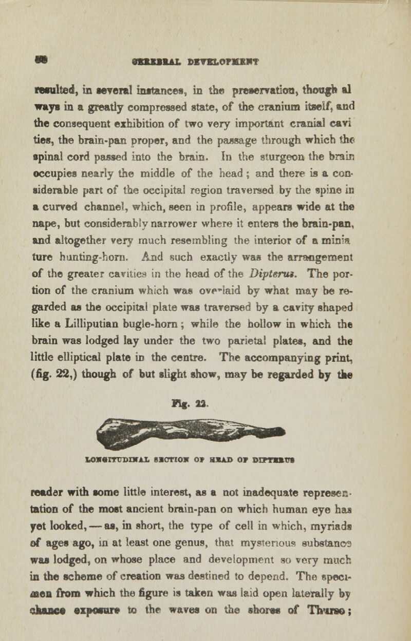 » CTHim DITKLOnCKHT resulted, in several instances, in the preservation, though al ways in a greatly compressed state, of the cranium itself, and the consequent exhibition of two very important cranial cavi ties, the brain-pan proper, and the passage through which the spinal cord passed into the brain. In the sturgeon the brain occupies nearly the middle of the head; and there is a con- siderable part of the occipital region traversed by the spine in a curved channel, which, seen in profile, appears wide at the nape, but considerably narrower where it enters the brain-pan, and altogether very much resembling the interior of a minia ture hunting-horn. And such exactly was the arrangement of the greater cavities in the head of the Diptertu. The por- tion of the cranium which was overlaid by what may be re- garded as the occipital plate was traversed by a cavity shaped like a Lilliputian bugle-horn; while the hollow in which the brain was lodged lay under the two parietal plates, and the little elliptical plate in the centre. The accompanying print, (fig. 22,) though of but slight show, may be regarded by the Fig. 32- u>a«mrDnrix sionoi o» ksaj> op diitott* reader with some little interest, as a not inadequate represen- tation of the most ancient brain-pan on which human eye has yet looked, — as, in short, the type of cell in which, myriads of ages ago, m at least one genus, that mysterious substance was lodged, on whose place and development so very much in the scheme of creation was destined to depend. The speci- men from which the figure is taken was laid open laterally by chance exposure to the waves on the shores of Th-trso;