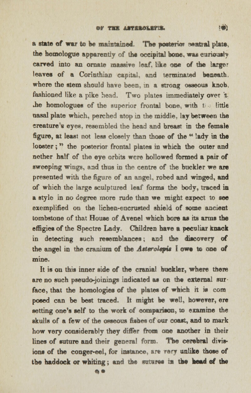 w not AamuuMtiP?*. -wi a state of war to be maintained. The posterW wtatral plat*, the hemologue apparently of the occipital bone, was curiously carved into an ornate massive loaf, like one of the larger leaves of a Corinthian capital, and terminated beneath, where the stem should have been, in a strong osseous knob, fashioned like a pike head. Two plates immediately over l »he homologues of the superior frontal bone, with tl little nasal plate which, perched atop in the middle, lay between the creature's eyes, resembled the head and breast in the female figure, at least not less closely than those of the  lady in the looster; the posterior frontal plates in which the outer and nether half of the eye orbits were hollowed formed a pair of sweeping wings, and thus in the centre of the buckler we are presented with the figure of an angel, robed and winged, and of which the large sculptured leaf forms the body, traced in a style in no degree more rude than we might expect to see exemplified on the lichen-encrusted shield of some ancient tombstone of that House of Avenel which bore as its arms the effigies of the Spectre Lady. Children have a peculiar knack in detecting such resemblances; and the discovery of the angel in the cranium of the Atttrolepu I owe to one of mine. It is on this inner side of the cranial buckler, where them are no such pseudo-joinings indicated as on the external sur face, that the homologies of the plates of which it is com posed can be best traced. It might be well, however, ere setting one's self to the work of comparison, us examine the skulls of a few of the osseous fishes of our coast, and to mark how very considerably they differ from one another in their lines of suture and their general form. The cerebral divis- ions of the conger-eel, for instance, are rmy unlike those of the haddock or whiting; and the sutures ia the head of the