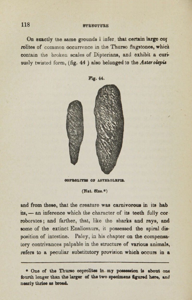 On exactly tfte same grounds 1 infer, that certain large cor rolites of common occurrence in the Thurso flagstones, whick contain the broken scales of Dipterians, and exhibit a curi* ously twisted form, (fig. 44 ) also belonged to the Asterolepi* Fig. 44. eorao&mi or astssouvis. (Wat «m.«) and from these, that the creature was carniTorous in its hab its, — an inference which the character of its teeth fully cor roborates; and farther, that, like the sharks and rays, and some of the extinct Enaliosaurs, it possessed the spiral dis- position of intestine. Paley, in his chapter on the compensa- tory contrivances palpable in the structure of various animals, refers to a peculiar substitutory provision which occurs in a • One of the Tbuno coprolitee ir. my possession is about one fourth longer than the larger of the two specimens figured hare, and nearly thrieo as broad.
