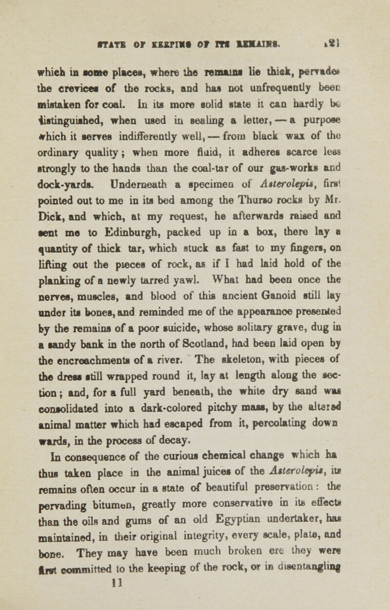 ■tats or uxpmt or m lnuiin. kt\ which in some places, where the remain* lie thick, pervade* the crevices of the rocks, and has not unfrequently beec mistaken for coal, in its more solid state it can hardly i*. iistinguished, when used in sealing a letter, — a purpose which it serves indifferently well, — from black wax of the ordinary quality; when more fluid, it adheres scarce less strongly to the hands than the coal-tar of our gas-works and dock-yards. Underneath a specimen of Atterolcpu, first pointed out to me in its bed among the Thurso rocks by Mr. Dick, and which, at my request, he afterwards raised and sent me to Edinburgh, packed up in a box, there lay a quantity of thick tar, which stuck as fast to my fingers, on lifting out the pieces of rock, as if I had laid hold of the planking of a newly tarred yawl. What had been once the nerves, muscles, and blood of this ancient Ganoid still lay under its bones, and reminded me of the appearance presented by the remains of a poor suicide, whose solitary grave, dug in a sandy bank in the north of Scotland, had been laid open by the encroachments of a river. The skeleton, with pieces of the dress still wrapped round it, lay at length along the sec- tion ; and, for a full yard beneath, the white dry sand was consolidated into a dark-colored pitchy mass, by the altered animal matter which had escaped from it, percolating down wards, in the process of decay. In consequence of the curious chemical change which ha thus taken place in the animal juices of the Atteroleyit, its remains often occur in a state of beautiful preservation : the pervading bitumen, greatly more conservative in its effects than the oils and gums of an old Egyptian undertaker, has maintained, in their original integrity, every scale, plate, and bone. They may have been much broken ere they were fret eommitted to the keeping of the rock, or in disentangling
