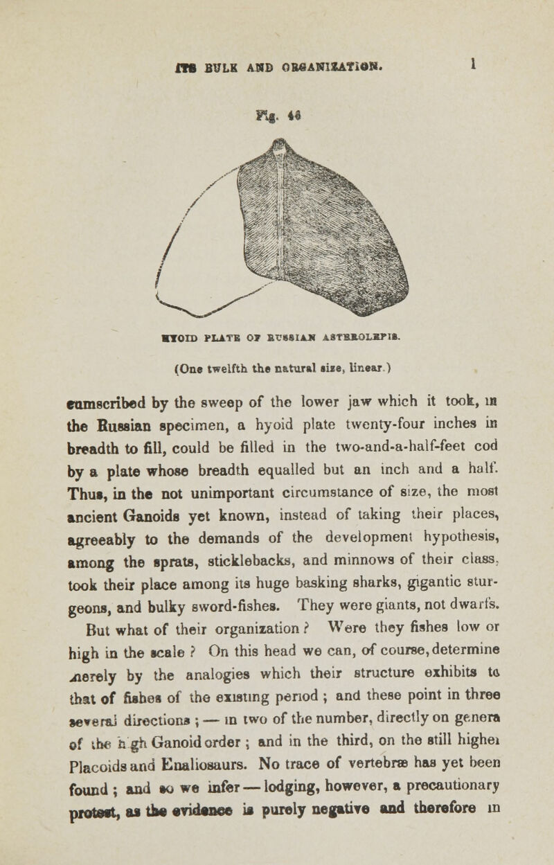 ITS BULK AMD 0R6AN1ZATION. / / ^m^ ■VOID PLATE OV &?«SUJ« ASTBJIOX-XP18. (One twelfth the natural eise, linear.) eamscribed by the sweep of the lower jaw which it took, in the Russian specimen, a hyoid plate twenty-four inches in breadth to fill, could be filled in the two-and-a-half-feet cod by a plate whose breadth equalled but an inch and a half. Thus, in the not unimportant circumstance of size, the most ancient Ganoids yet known, instead of taking their places, agreeably to the demands of the development hypothesis, among the sprats, sticklebacks, and minnows of their ciass: took their place among its huge basking sharks, gigantic stur- geons, and bulky sword-fishes. They were giants, not dwarf's. But what of their organization ? Were they fishes low or high in the scale ? On this head we can, of course, determine merely by the analogies which their structure exhibits ta that of fishes of the existing period ; and these point in three several directions ; — in two of the number, directly on genera of ibe hgh Ganoid order; and in the third, on the still highei Placoids and Enaliosaurs. No trace of vertebrae has yet been found ; and so we infer — lodging, however, a precautionary protest, as the evidence is purely negative and therefore in