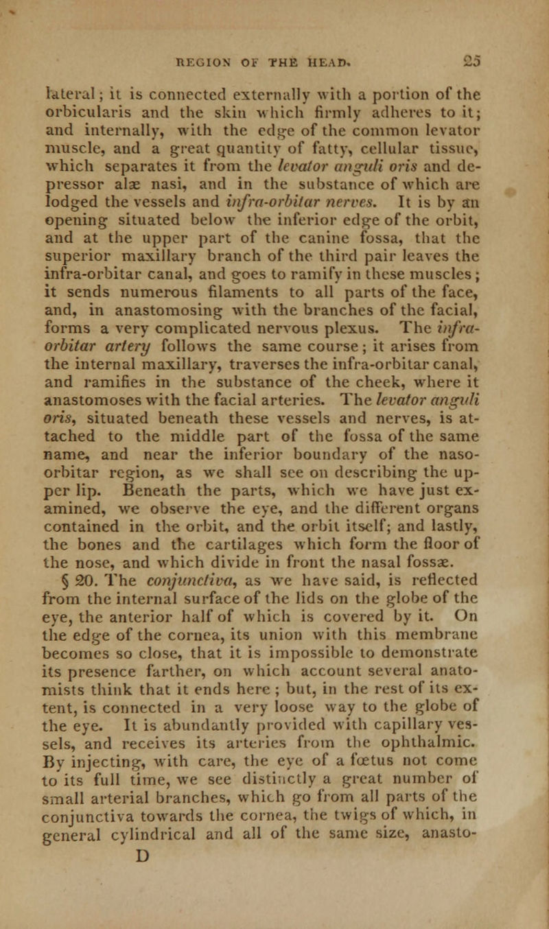 literal; it is connected externally with a portion of the orbicularis and the skin which firmly adheres to it; and internally, with the edge of the common levator muscle, and a great quantity of fatty, cellular tissue, which separates it from the levator anguH oris and de- pressor alae nasi, and in the substance of which are lodged the vessels and infra-orbitar nerves. It is by an opening situated below the inferior edge of the orbit, and at the upper part of the canine fossa, that the superior maxillary branch of the third pair leaves the infra-orbitar canal, and goes to ramify in these muscles ; it sends numerous filaments to all parts of the face, and, in anastomosing with the branches of the facial, forms a very complicated nervous plexus. The infra- orbitar artery follows the same course; it arises from the internal maxillary, traverses the infra-orbitar canal, and ramifies in the substance of the cheek, where it anastomoses with the facial arteries. The levator angirfi oris, situated beneath these vessels and nerves, is at- tached to the middle part of the fossa of the same name, and near the inferior boundary of the naso- orbitar region, as we shall see on describing the up- per lip. Beneath the parts, which we have just ex- amined, we observe the eye, and the different organs contained in the orbit, and the orbit itself; and lastly, the bones and the cartilages which form the floor of the nose, and which divide in front the nasal fossae. § 20. The conjunctiva, as we have said, is reflected from the internal surface of the lids on the globe of the eye, the anterior half of which is covered by it. On the edge of the cornea, its union with this membrane becomes so close, that it is impossible to demonstrate its presence farther, on which account several anato- mists think that it ends here ; but, in the rest of its ex- tent, is connected in a very loose way to the globe of the eye. It is abundantly provided with capillary ves- sels, and receives its arteries from the ophthalmic. By injecting, with care, the eye of a foetus not come to its full time, we see distinctly a great number of small arterial branches, which go from all parts of the conjunctiva towards the cornea, the twigs of which, in general cylindrical and all of the same size, anasto- D