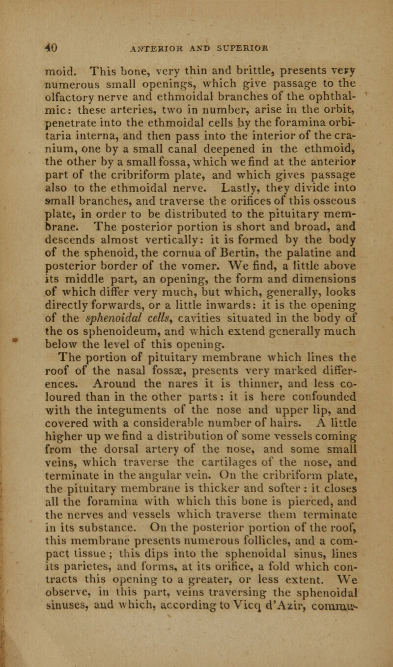 moid. This bone, very thin and brittle, presents vety numerous small openings, which give passage to the olfactory nerve and ethmoidal branches of the ophthal- mic: these arteries, two in number, arise in the orbit, penetrate into the ethmoidal cells by the foramina orbi- taria interna, and then pass into the interior of the cra- nium, one by a small canal deepened in the ethmoid, the other by a small fossa, which we find at the anterior part of the cribriform plate, and which gives passage also to the ethmoidal nerve. Lastly, they divide into small branches, and traverse the orifices of this osseous plate, in order to be distributed to the pituitary mem- brane. The posterior portion is short and broad, and descends almost vertically: it is formed by the body of the sphenoid, the cornua of Bertin, the palatine and posterior border of the vomer. We find, a little above its middle part, an opening, the form and dimensions of which differ very much, but which, generally, looks directly forwards, or a little inwards: it is the opening of the sphenoidal cells, cavities situated in the body of the os sphenoideum, and which extend generally much below the level of this opening. The portion of pituitary membrane which lines the roof of the nasal fossae, presents very marked differ- ences. Around the nares it is thinner, and less co- loured than in the other parts: it is here confounded with the integuments of the nose and upper lip, and covered with a considerable number of hairs. A little higher up we find a distribution of some vessels coming from the dorsal artery of the nose, and some small veins, which traverse the cartilages of the nose, and terminate in the angular vein. On the cribriform plate, the pituitary membrane is thicker and softer : it closes all the foramina with which this bone is pierced, and the nerves and vessels which traverse them terminate in its substance. On the posterior portion of the roof, this membrane presents numerous follicles, and a com- pact tissue; this dips into the sphenoidal sinus, lines its parietes, and forms, at its orifice, a fold which con- tracts this opening to a greater, or less extent. We observe, in this part, veins traversing the sphenoidal sinuses, and which, according to Vicq d'Azir, comrau>