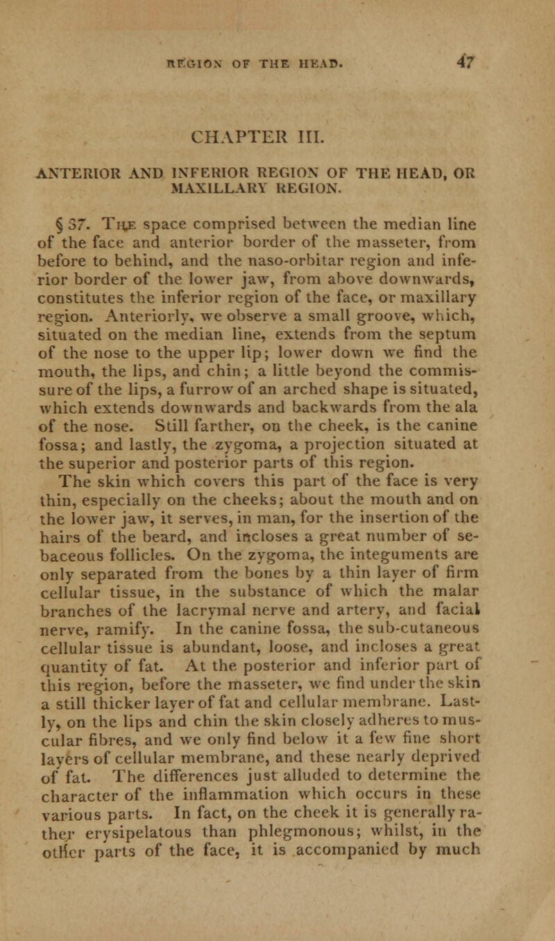 CHAPTER III. ANTERIOR AND INFERIOR REGION OF THE HEAD, OR MAXILLARY REGION. § 37. The space comprised between the median line of the face and anterior border of the masseter, from before to behind, and the naso-orbitar region and infe- rior border of the lower jaw, from above downwards, constitutes the inferior region of the face, or maxillary region. Anteriorly, we observe a small groove, which, situated on the median line, extends from the septum of the nose to the upper lip; lower down we find the mouth, the lips, and chin; a little beyond the commis- sure of the lips, a furrow of an arched shape is situated, which extends downwards and backwards from the ala of the nose. Still farther, on the cheek, is the canine fossa; and lastly, the zygoma, a projection situated at the superior and posterior parts of this region. The skin which covers this part of the face is very thin, especially on the cheeks; about the mouth and on the lower jaw, it serves, in man, for the insertion of the hairs of the beard, and incloses a great number of se- baceous follicles. On the zygoma, the integuments are only separated from the bones by a thin layer of firm cellular tissue, in the substance of which the malar branches of the lacrymal nerve and artery, and facial nerve, ramify. In the canine fossa, the sub-cutaneous cellular tissue is abundant, loose, and incloses a great quantity of fat. At the posterior and inferior part of this region, before the masseter, we find under the skin a still thicker layer of fat and cellular membrane. Last- ly, on the lips and chin the skin closely adheres to mus- cular fibres, and we only find below it a few fine short layers of cellular membrane, and these nearly deprived of fat. The differences just alluded to determine the character of the inflammation which occurs in these various parts. In fact, on the cheek it is generally ra- ther erysipelatous than phlegmonous; whilst, in the otiter parts of the face, it is accompanied by much