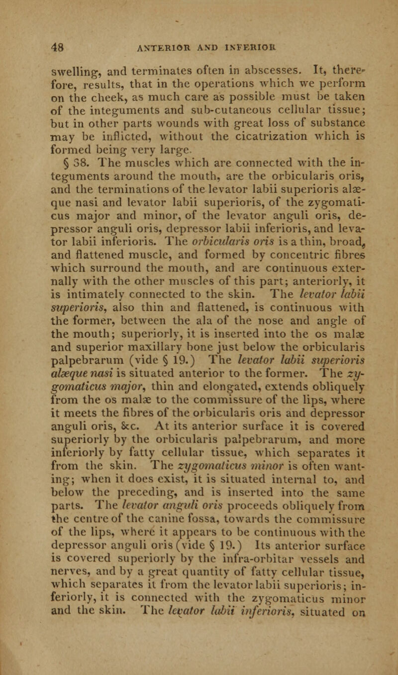 swelling, and terminates often in abscesses. It, there- fore, results, that in the operations which we perform on the cheek, as much care as possible must be taken of the integuments and sub-cutaneous cellular tissue; but in other parts wounds with great loss of substance may be inflicted, without the cicatrization which is formed being very large. § 58. The muscles which are connected with the in- teguments around the mouth, are the orbicularis oris, and the terminations of the levator labii superioris alae- que nasi and levator labii superioris, of the zygomati- cus major and minor, of the levator anguli oris, de- pressor anguli oris, depressor labii inferioris, and leva- tor labii inferioris. The orbicularis oris is a thin, broad, and flattened muscle, and formed by concentric fibres which surround the mouth, and are continuous exter- nally with the other muscles of this part; anteriorly, it is intimately connected to the skin. The levator labii superioris, also thin and flattened, is continuous with the former, between the ala of the nose and angle of the mouth; superiorly, it is inserted into the os malae and superior maxillary bone just below the orbicularis palpebrarum (vide § 19.) The levator labii superioris alseque nasi is situated anterior to the former. The zy- gomaticus major, thin and elongated, extends obliquely from the os malae to the commissure of the lips, where it meets the fibres of the orbicularis oris and depressor anguli oris, Sec. At its anterior surface it is covered superiorly by the orbicularis palpebrarum, and more interiorly by fatty cellular tissue, which separates it from the skin. The zygomaticus minor is often want- ing; when it does exist, it is situated internal to, and below the preceding, and is inserted into the same parts. The levator anguli oris proceeds obliquely from the centre of the canine fossa, towards the commissure of the lips, where it appears to be continuous with the depressor anguli oris (vide § 19.) Its anterior surface is covered superiorly by the infra-orbitar vessels and nerves, and by a great quantity of fatty cellular tissue, which separates it from the levator labii superioris; in- feriorly, it is connected with the zygomaticus minor and the skin. The levator labii inferioris, situated on