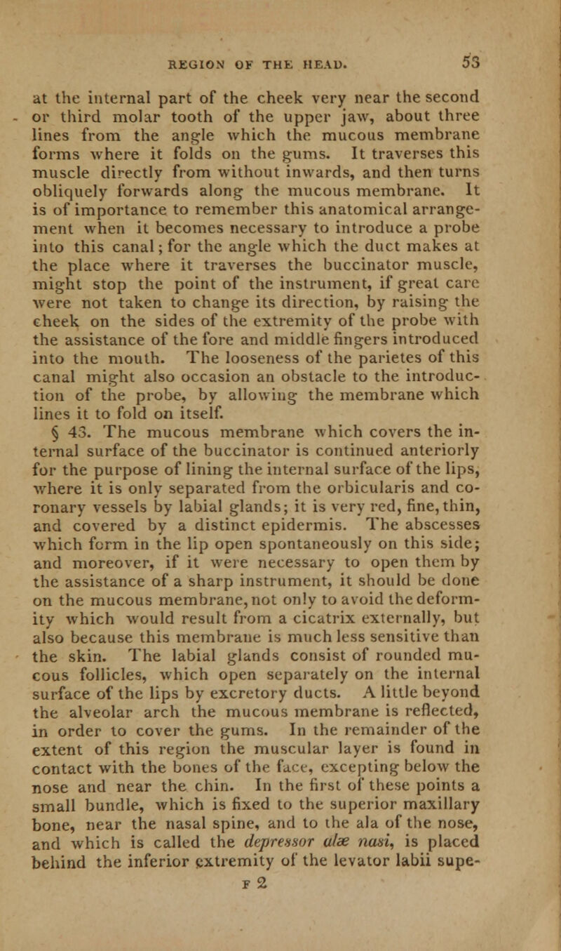 at the internal part of the cheek very near the second or third molar tooth of the upper jaw, about three lines from the angle which the mucous membrane forms where it folds on the gums. It traverses this muscle directly from without inwards, and then turns obliquely forwards along the mucous membrane. It is of importance to remember this anatomical arrange- ment when it becomes necessary to introduce a probe into this canal; for the angle which the duct makes at the place where it traverses the buccinator muscle, might stop the point of the instrument, if great care were not taken to change its direction, by raising the cheek on the sides of the extremity of the probe with the assistance of the fore and middle fingers introduced into the mouth. The looseness of the parietes of this canal might also occasion an obstacle to the introduc- tion of the probe, by allowing the membrane which lines it to fold on itself. § 43. The mucous membrane which covers the in- ternal surface of the buccinator is continued anteriorly for the purpose of lining the internal surface of the lips, where it is only separated from the orbicularis and co- ronary vessels by labial glands; it is very red, fine, thin, and covered by a distinct epidermis. The abscesses which form in the lip open spontaneously on this side; and moreover, if it were necessary to open them by the assistance of a sharp instrument, it should be done on the mucous membrane, not only to avoid the deform- ity which would result from a cicatrix externally, but also because this membrane is much less sensitive than the skin. The labial glands consist of rounded mu- cous follicles, which open separately on the internal surface of the lips by excretory ducts. A little beyond the alveolar arch the mucous membrane is reflected, in order to cover the gums. In the remainder of the extent of this region the muscular layer is found in contact with the bones of the face, excepting below the nose and near the chin. In the first of these points a small bundle, which is fixed to the superior maxillary bone, near the nasal spine, and to the ala of the nose, and which is called the depressor alee nasi, is placed behind the inferior extremity of the levator labii supe- f 2
