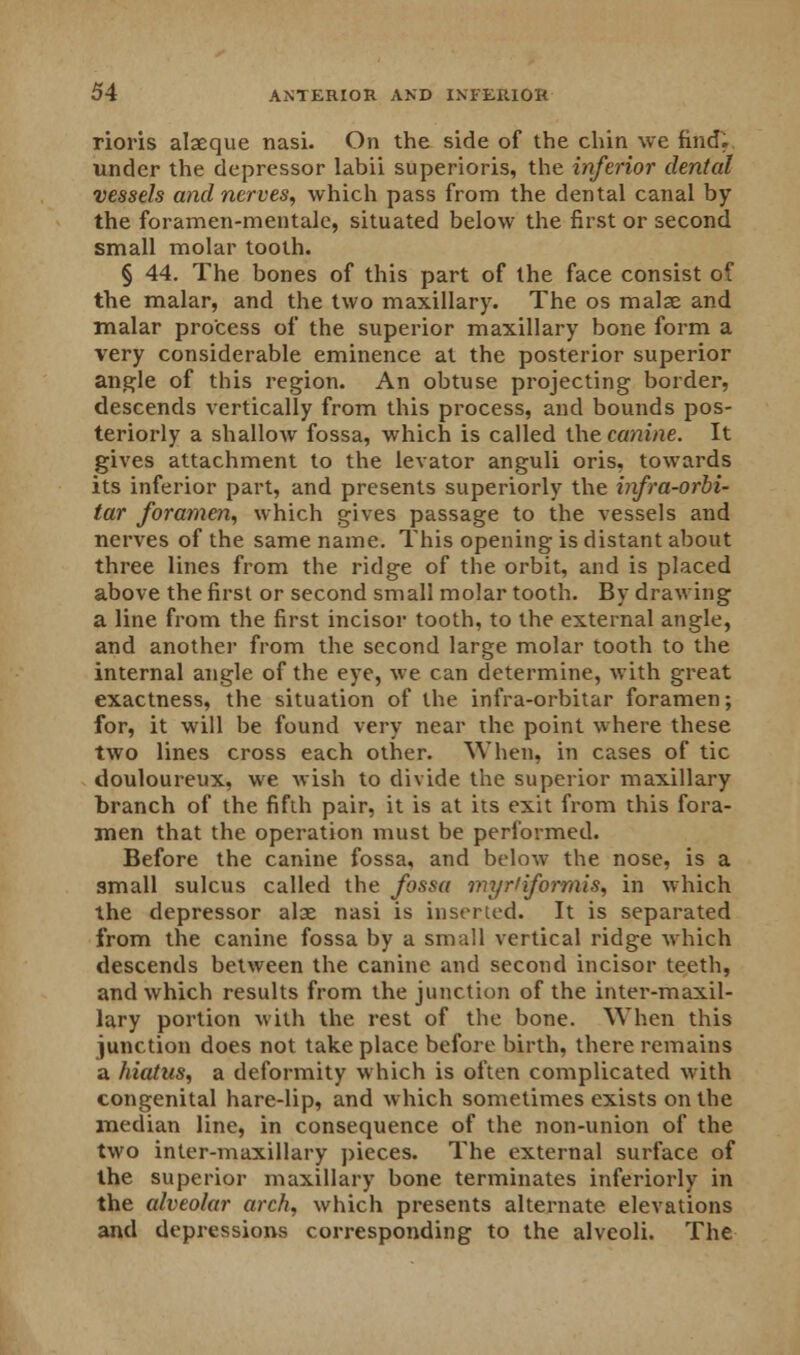 rioris alaeque nasi. On the side of the chin we find. under the depressor labii superioris, the inferior dental vessels and nerves, which pass from the dental canal by the foramen-mentalc, situated below the first or second small molar tooth. § 44. The bones of this part of the face consist of the malar, and the two maxillary. The os malae and malar process of the superior maxillary bone form a very considerable eminence at the posterior superior angle of this region. An obtuse projecting border, descends vertically from this process, and bounds pos- teriorly a shallow fossa, which is called the canine. It gives attachment to the levator anguli oris, towards its inferior part, and presents superiorly the infra-orbi- tar foramen, which gives passage to the vessels and nerves of the same name. This opening is distant about three lines from the ridge of the orbit, and is placed above the first or second small molar tooth. By drawing a line from the first incisor tooth, to the external angle, and another from the second large molar tooth to the internal angle of the eye, we can determine, with great exactness, the situation of the infra-orbitar foramen; for, it will be found very near the point where these two lines cross each other. When, in cases of tic douloureux, we wish to divide the superior maxillary branch of the fifth pair, it is at its exit from this fora- men that the operation must be performed. Before the canine fossa, and below the nose, is a small sulcus called the fossa myrtiformis, in which the depressor alae nasi is inserted. It is separated from the canine fossa by a small vertical ridge which descends between the canine and second incisor teeth, and which results from the junction of the inter-maxil- lary portion with the rest of the bone. When this junction does not take place before birth, there remains a hiatus, a deformity which is often complicated with congenital hare-lip, and which sometimes exists on the median line, in consequence of the non-union of the two inter-maxillary pieces. The external surface of the superior maxillary bone terminates inferiorly in the alveolar arch, which presents alternate elevations and depressions corresponding to the alveoli. The