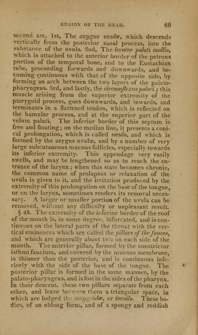 second arc, 1st, The azygus vviilee, which descends vertically from the posterior nasal process, into the substance of the uvula. 2nd, The levator palati mollis, which is attached to the anterior border of the petrous portion of the temporal bone, and to the Eustachian tube, proceeding forwards and downwards, and be- coming continuous with that of the opposite side, by- forming an arch between the two layers of the palato- pharyngeal 3rd, and lastly, the circumflexus palati: this muscle arising from the superior extremity of the pterygoid process, goes downwards, and inwards, and terminates in a flattened tendon, which is reflected on the hamular process, and at the superior part of the velum palati. The inferior border of this septum is free and floating; on the median line, it presents a coni- cal prolongation, which is called uvula, and which is formed by the azygus uvulae, and by a number of very large subcutaneous mucous follicles, especially towards its inferior extremity. This appendage very easily swells, and may be lengthened so as to reach the en- trance of the larynx; when this state becomes chronic, the common name of prolapsus or relaxation of the uvula is given to it, and the irritation produced by the extremity of this prolongation on the base of the tongue, or on the larynx, sometimes renders its removal neces- sar). A larger or smaller portion of the uvula can be removed, without any difficulty or unpleasant result. § 48. The extremity of the inferior border of the roof of the mouth is, in some degree, bifurcated, and is con- tinuous on the lateral parts of the throat with the ver- tical eminences which are called the pillars of the fauces, and which are generally about two on each side of the mouth. The anterior pillar, formed by the constrictor isthmifaucium, and covered by the mucous membrane, is thinner than the posterior, and is continuous infe- riorly with the side of the base of the tongue. The posterior pillar is formed in the same manner, by the palato-pharyngeus, and is lost in the sides of the pharynx. In their descent, these two pillars separate from each Other, and leave be -- en them a triangular space, in which are lodged the amygdalae, or tonsils. These bo- dies, of an oblong form, and of a s'pongy and reddish