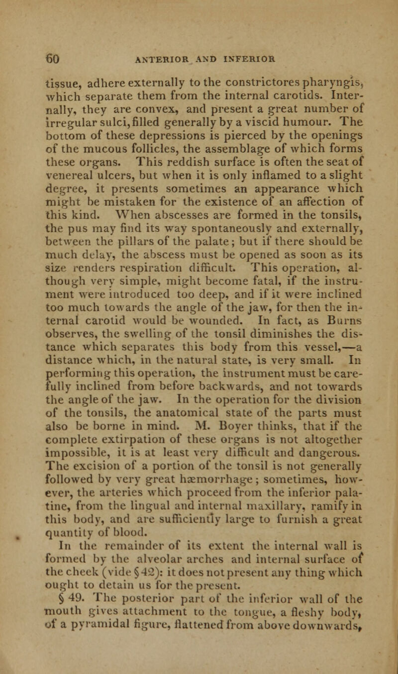 tissue, adhere externally to the constrictorespharyngis, which separate them from the internal carotids. Inter- nally, they are convex, and present a great number of irregular sulci, filled generally by a viscid humour. The bottom of these depressions is pierced by the openings of the mucous follicles, the assemblage of which forms these organs. This reddish surface is often the seat of venereal ulcers, but when it is only inflamed to a slight degree, it presents sometimes an appearance which might be mistaken for the existence of an affection of this kind. When abscesses are formed in the tonsils, the pus may find its way spontaneously and externally, between the pillars of the palate ; but if there should be much delay, the abscess must be opened as soon as its size renders respiration difficult. This operation, al- though very simple, might become fatal, if the instru- ment were introduced too deep, and if it were inclined too much towards the angle of the jaw, for then the in- ternal carotid would be wounded. In fact, as Burns observes, the swelling of the tonsil diminishes the dis- tance which separates this body from this vessel,—a distance which, in the natural state, is very small. In performing this operation, the instrument must be care- fully inclined from before backwards, and not towards the angle of the jaw. In the operation for the division of the tonsils, the anatomical state of the parts must also be borne in mind. M. Boyer thinks, that if the complete extirpation of these organs is not altogether impossible, it is at least very difficult and dangerous. The excision of a portion of the tonsil is not generally followed by very great haemorrhage; sometimes, how- ever, the arteries which proceed from the inferior pala- tine, from the lingual and internal maxillary, ramify in this body, and are sufficiently large to furnish a great quantity of blood. In the remainder of its extent the internal wall is formed by the alveolar arches and internal surface of the cheek (vide §42): it does not present any thing which ought to detain us for the present. § 49. The posterior part of the inferior wall of the mouth gives attachment to the tongue, a fleshy body, Of a pyramidal figure, flattened from above downwards,