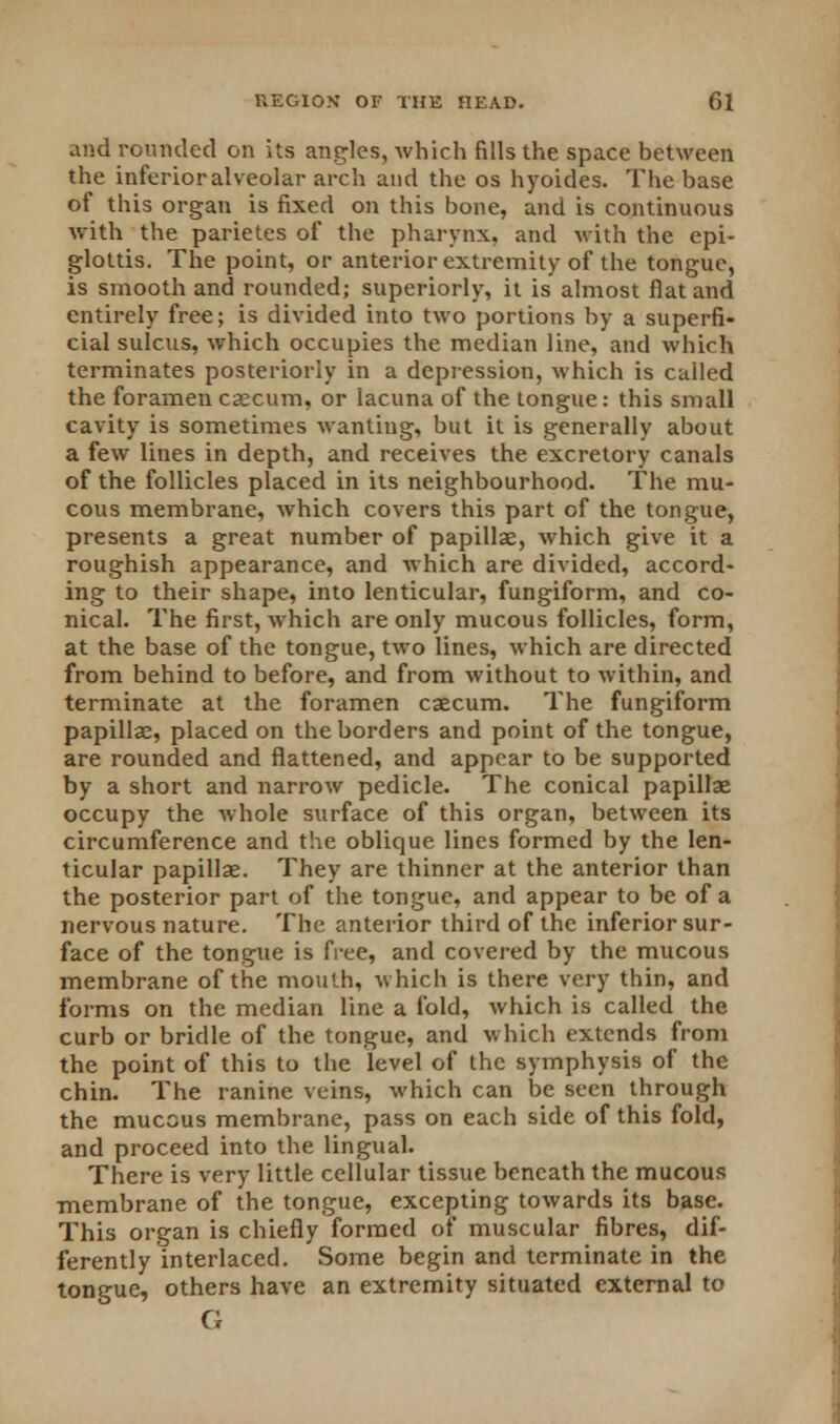 and rounded on its angles, which fills the space between the inferior alveolar arch and the os hyoides. The base of this organ is fixed on this bone, and is continuous with the parietes of the pharynx, and with the epi- glottis. The point, or anterior extremity of the tongue, is smooth and rounded; superiorly, it is almost flat and entirely free; is divided into two portions by a superfi- cial sulcus, which occupies the median line, and which terminates posteriorly in a depression, which is called the foramen caecum, or lacuna of the tongue: this small cavity is sometimes wanting, but it is generally about a few lines in depth, and receives the excretory canals of the follicles placed in its neighbourhood. The mu- cous membrane, which covers this part of the tongue, presents a great number of papillae, which give it a roughish appearance, and which are divided, accord- ing to their shape, into lenticular, fungiform, and co- nical. The first, which are only mucous follicles, form, at the base of the tongue, two lines, which are directed from behind to before, and from without to within, and terminate at the foramen caecum. The fungiform papillae, placed on the borders and point of the tongue, are rounded and flattened, and appear to be supported by a short and narrow pedicle. The conical papillae occupy the whole surface of this organ, between its circumference and the oblique lines formed by the len- ticular papillae. They are thinner at the anterior than the posterior part of the tongue, and appear to be of a nervous nature. The anterior third of the inferior sur- face of the tongue is free, and covered by the mucous membrane of the mouth, which is there very thin, and forms on the median line a fold, which is called the curb or bridle of the tongue, and which extends from the point of this to the level of the symphysis of the chin. The ranine veins, which can be seen through the mucous membrane, pass on each side of this fold, and proceed into the lingual. There is very little cellular tissue beneath the mucous membrane of the tongue, excepting towards its base. This organ is chiefly formed of muscular fibres, dif- ferently interlaced. Some begin and terminate in the tongue, others have an extremity situated external to G