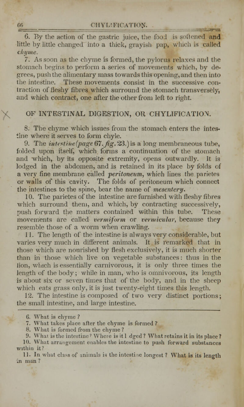 6. By the action of the gastric juice, the food is soflened and little by little changed into a thick, grayish pap, wind) is called chyme. 7. As soon as the chyme is formed, the pylorus relaxes and the stomach begins to perform a series of movements which, by de- grees, push the alimentary mass towards this opening, and then into the intestine. These movements consist in the successive con- traction of fleshy fibres which surround the stomach transversely, and which contract, one after the other from left to right. OF INTESTINAL DIGESTION, OR CHYL1FICATION. 8. The chyme which issues from the stomach enters the intes- tine where it serves to form chyle. 9. The infesttin'(page67.fig.23,)is a long membraneous tube, folded upon itself, which forms a continuation of the stomach and which, by its opposite extremity, opens outwardly. It is lodged in the abdomen, and is retained in its place by folds of a very fine membrane called peritoneum, which lines the parietes or walls of this cavity. The folds of peritoneum which connect the intestines to the spine, bear the name of mesentery. 10. The parietes of the intestine are furnished with fleshy fibres which surround them, and which, by contracting successively, push forward the matters contained within this tube. These movements are called vermiform or vermicular, because they resemble those of a worm when crawling. 11. The length of the intestine is always very considerable, but varies very much in different animals. It is remarked that in those which are nourished by flesh exclusively, it is much shorter than in those which live on vegetable substances: thus in the lion, which is essentially carnivorous, it is only three times the length of the body; while in man, who is omnivorous, its length is about six or seven times that of the body, and in the sheep which eats grass only, it is just twenty-eight times this length. 12. The intestine is composed of two very distinct portions; the small intestine, and large intestine. G. What is chyme ? 7. What takes place after the chyme is formed ? 8. What is formed from the chyme? 9. What is the intestine ' Where is it 1 dged ? What retains it in its place ? 10. What arrangement enables the intestine to push forward substances within it? 11. In what class of animals i-s the intestine longest ? What is its length in man ?