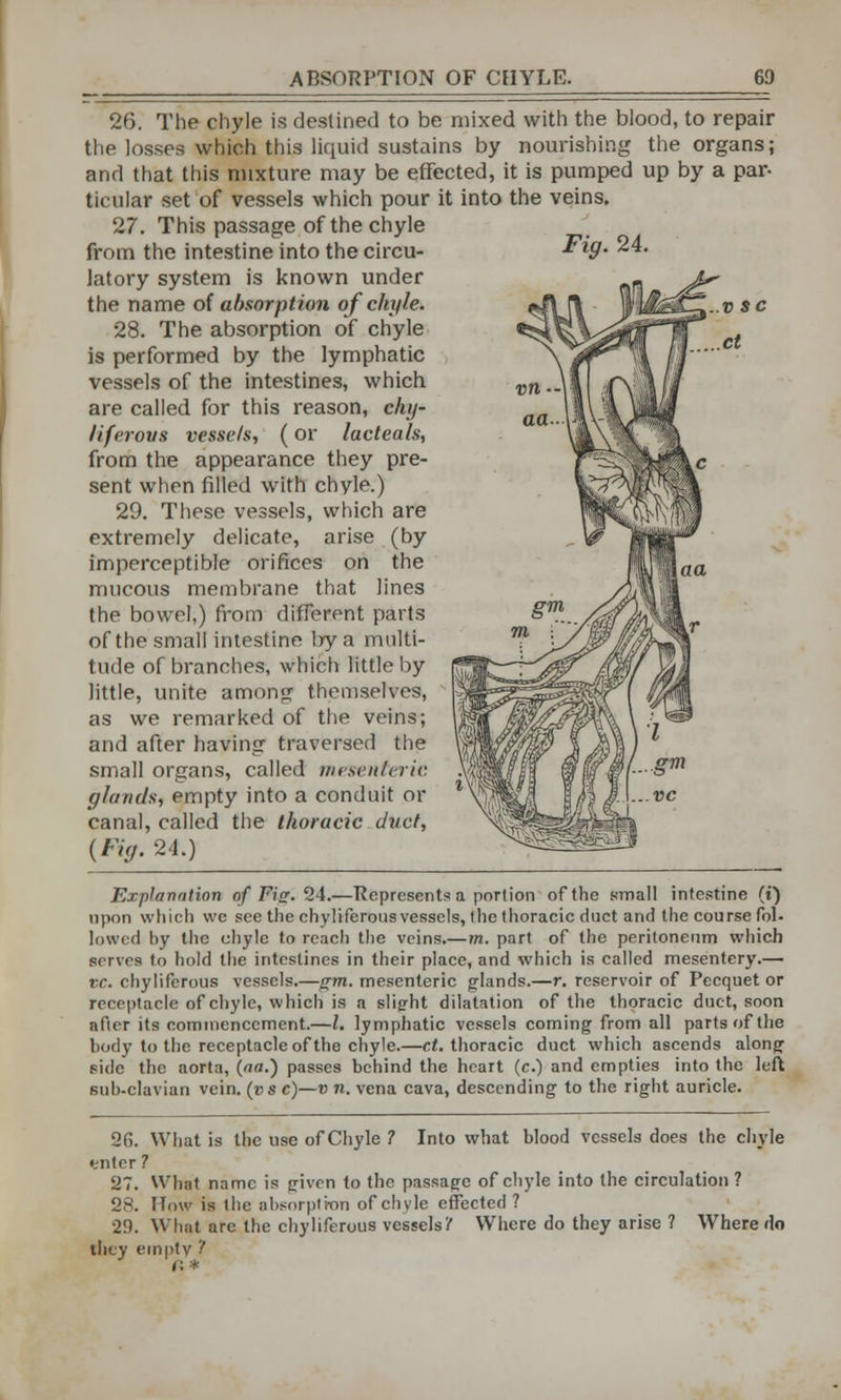 26. The chyle is destined to be mixed with the blood, to repair the losses which this liquid sustains by nourishing the organs; and that this mixture may be effected, it is pumped up by a par- ticular set of vessels which pour it into the veins. 27. This passage of the chyle from the intestine into the circu- latory system is known under the name of absorption of chyle. 28. The absorption of chyle is performed by the lymphatic vessels of the intestines, which are called for this reason, cluj- liferovs vessels, (or lacteals, from the appearance they pre- sent when filled with chyle.) 29. These vessels, which are extremely delicate, arise (by imperceptible orifices on the mucous membrane that lines the bowel,) from different parts of the small intestine by a multi- tude of branches, which little by little, unite among themselves, as we remarked of the veins; and after having traversed the small organs, called mesenteric glands, empty into a conduit or canal, called the thoracic duct, (Fiff. 24.) Explanation of Fig. 24.—Represents a portion of the small intestine {%) upon which wc see the chyliferous vessels, (he thoracic duct and the course fol- lowed by the chyle to reach the veins.—m. part of the peritoneum which serves to hold the intestines in their place, and which is called mesentery.— vc. chyliferous vessels.—gm. mesenteric glands.—r. reservoir of Pecquet or receptacle of chyle, which is a slight dilatation of the thoracic duct, soon after its commencement.—I. lymphatic vessels coming from all parts of the body to the receptacle of the chyle.—ct. thoracic duct which ascends along side the aorta, (««.) passes behind the heart (c.) and empties into the left sub-clavian vein, (vsc)—v n. vena cava, descending to the right auricle. 2f>. What is the use of Chyle ? Into what blood vessels does the chyle filter ? 27. What name is given to the passage of chyle into the circulation ? 28. How is the absorption of chyle effected ? 29. What are the chyliferous vessels!' Where do they arise ? Where do they emptv t (i*