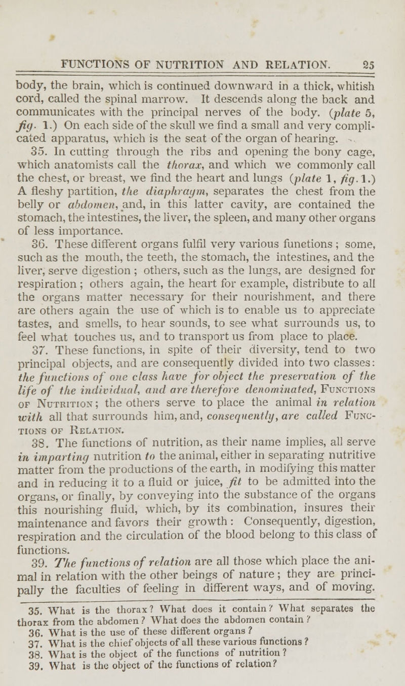 body, the brain, which is continued downward in a thick, whitish cord, called the spinal marrow. It descends along the back and communicates with the principal nerves of the body, (plate 5, Jig. 1.) On each side of the skull we find a small and very compli- cated apparatus, which is the seat of the organ of hearing. 35. In cutting through the ribs and opening the bony cage, which anatomists call the thorax, and which we commonly call the chest, or breast, we find the heart and lungs (plate 1, fig A.) A fleshy partition, the diaphragm, separates the chest from the belly or abdomen, and, in this latter cavity, are contained the stomach, the intestines, the liver, the spleen, and many other organs of less importance. 36. These different organs fulfil very various functions ; some, such as the mouth, the teeth, the stomach, the intestines, and the liver, serve digestion ; others, such as the lungs, are designed for respiration; others again, the heart for example, distribute to all the organs matter necessary for their nourishment, and there are others again the use of which is to enable us to appreciate tastes, and smells, to hear sounds, to see what surrounds us, to feel what touches us, and to transport us from place to place. 37. These functions, in spite of their diversity, tend to two principal objects, and are consequently divided into two classes: the functions of one class have for object the preservation of the life of the individual, and are therefore denominated, Functions of Nutrition' ; the others serve to place the animal in relation with all that surrounds him, and, consequently, are called Func- tions of Relation. 38. The functions of nutrition, as their name implies, all serve in imparting nutrition to the animal, either in separating nutritive matter from the productions of the earth, in modifying this matter and in reducing it to a fluid or juice, fit to be admitted into the organs, or finally, by conveying into the substance of the organs this nourishing fluid, which, by its combination, insures their maintenance and favors their growth : Consequently, digestion, respiration and the circulation of the blood belong to this class of functions. 39. The functions of relation are all those which place the ani- mal in relation with the other beings of nature; they are princi- pally the faculties of feeling in different ways, and of moving. 35. What is the thorax? What does it contain? What separates the thorax from the abdomen ? What does the abdomen contain '( 36. What is the use of these different organs ? 37. What is the chief objects of all these various functions ? 38. What is the object of the functions of nutrition ? 39. What is the object of the functions of relation?