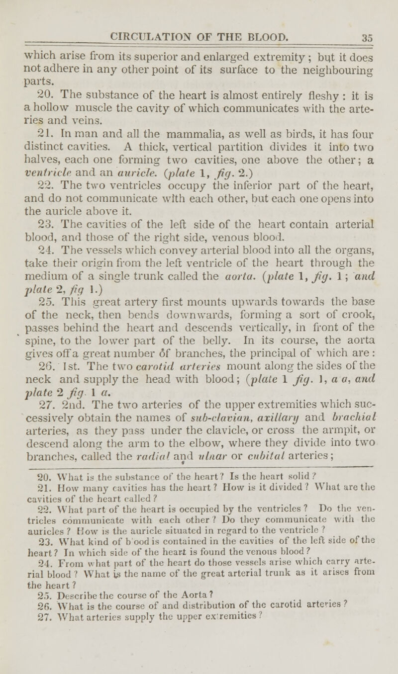 which arise from its superior and enlarged extremity ; but it does not adhere in any other point of its surface to the neighbouring parts. 20. The substance of the heart is almost entirely fleshy : it is a hollow muscle the cavity of which communicates with the arte- ries and veins. 21. In man and all the mammalia, as well as birds, it has four distinct cavities. A thick, vertical partition divides it into two halves, each one forming two cavities, one above the other; a ventricle and an auricle, (plate 1, fig. 2.) 22. The two ventricles occupy the inferior part of the heart, and do not communicate with each other, but each one opens into the auricle above it. 23. The cavities of the left side of the heart contain arterial blood, and those of the right side, venous blood. 24. The vessels which convey arterial blood into all the organs, take their origin from the left ventricle of the heart through the medium of a single trunk called the aorta, (plate 1, Jig. 1 ; and plate 2, fig I.) 25. This great artery first mounts upwards towards the base of the neck, then bends downwards, forming a sort of crook, passes behind the heart and descends vertically, in front of the spine, to the lower part of the belly. In its course, the aorta gives offa great number of branches, the principal of which are : 26. 1st. The two carotid arteries mount along the sides of the neck and supply the head with blood; (plate 1 Jig. 1, a a, and j)late 2 Jig- 1 a. 27. 2nd. The two arteries of the upper extremities which suc- cessively obtain the names of sub-clavian, axillary and brachial arteries, as they pass under the clavicle, or cross the armpit, or descend along the arm to the elbow, where they divide into two branches, called the radial and ulnar or cubital arteries; 20. What is the substance of the heart? Is the heart solid ? 21. How many cavities has the heart ? How is it divided ? What are the cavities of the heart called ? 22. What part of the heart is occupied by the ventricles ? Do the ven- tricles communicate with each other? Do they communicate with the auricles ? How is the auricle situated in regard to the ventricle ? 23. What kind of b'ood is contained in the cavities of the left side of the heart? In which side of the heart is found the venous blood? 24. From what part of the heart do those vessels arise which carry arte- rial blood ? What is the name of the great arterial trunk as it arises from the heart ? 2.5. Describe the course of the Aorta? 2fi. What is the course of and distribution of the carotid arteries ? 27. What arteries supply the upper extremities?