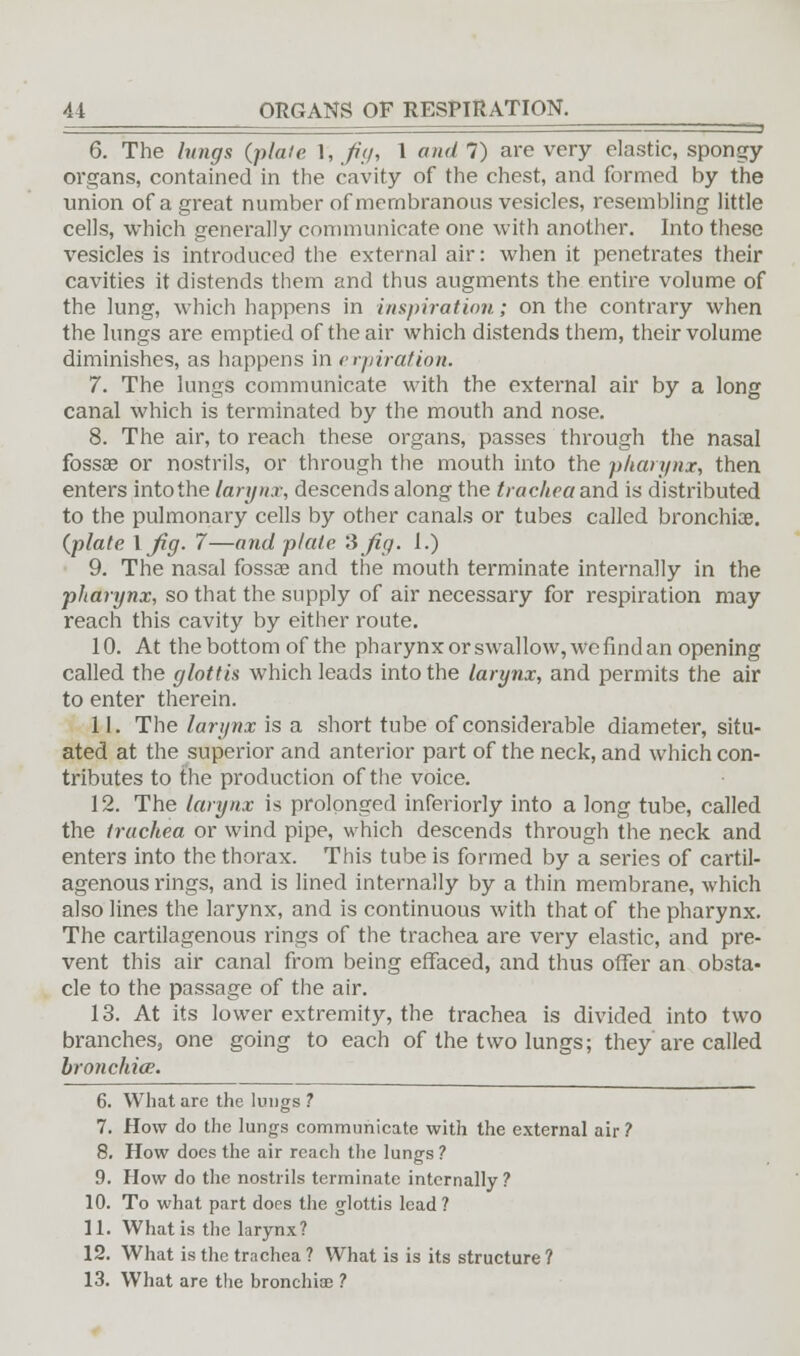 • • —< 6. The lungs {plate X, fig, I and!) are very elastic, spongy organs, contained in the cavity of the chest, and formed by the union of a great number of membranous vesicles, resembling little cells, which generally communicate one with another. Into these vesicles is introduced the external air: when it penetrates their cavities it distends them and thus augments the entire volume of the lung, which happens in inspiration.; on the contrary when the lungs are emptied of the air which distends them, their volume diminishes, as happens in erpiration. 7. The lungs communicate with the external air by a long canal which is terminated by the mouth and nose. 8. The air, to reach these organs, passes through the nasal fossae or nostrils, or through the mouth into the pharynx, then enters into the larynx, descends along the trachea and is distributed to the pulmonary cells by other canals or tubes called bronchia?. (plate \ fig. 7—and plate 3 fig. 1.) 9. The nasal fossae and the mouth terminate internally in the pharynx, so that the supply of air necessary for respiration may reach this cavity by either route. 10. At the bottom of the pharynx or swallow, wc find an opening called the glottis which leads into the larynx, and permits the air to enter therein. 11. The larynx is a short tube of considerable diameter, situ- ated at the superior and anterior part of the neck, and which con- tributes to the production of the voice. 12. The larynx is prolonged inferiorly into a long tube, called the trachea or wind pipe, which descends through the neck and enters into the thorax. This tube is formed by a series of cartil- agenous rings, and is lined internally by a thin membrane, which also lines the larynx, and is continuous with that of the pharynx. The cartilagenous rings of the trachea are very elastic, and pre- vent this air canal from being effaced, and thus offer an obsta- cle to the passage of the air. 13. At its lower extremity, the trachea is divided into two branches, one going to each of the two lungs; they are called bronchia;. 6. What are the lungs ? 7. How do the lungs communicate with the external air 1 8. How does the air reach the lungs ? 9. How do the nostrils terminate internally? 10. To what part does the glottis lead ? 11. What is the larynx? 12. What is the trachea ? What is is its structure ? 13. What are the bronchia? ?