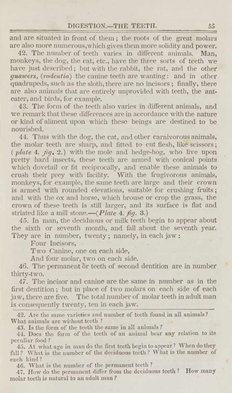and are situated in front of them ; the roots of the great molars are also more numerous,which gives them more solidity and power. 42. The number of teeth varies in different animals. Man, monkeys, the dog, the cat, etc., have the three sorts of teeth we have just described; but with the rabbit, the rat, and the other gnawers, {rodentia) the canine teeth are wanting: and in other quadrupeds, such as the sloth, there are no incisors ; finally, there are also animals that are entirely unprovided with teeth, the ant- eater, and birds, for example. 43. The form of the teeth also varies in different animals, and we remark that these differences are in accordance with the nature or kind of aliment upon which these beings are destined to be nourished. 44. Thus with the dog, the cat, and other carnivorous animals, the molar teeth are sharp, and fitted to cut flesh, like scissors; (plate 4. jig, 2.) with the mole and hedge-hog, who live upon pretty hard insects, these teeth are armed with conical points which dovetail or fit reciprocally, and enable these animals to crush their prey with facility. With the frugivorous animals, monkeys, for example, the same teeth are large and their crown is armed with rounded elevations, suitable for crushing fruits; and with the ox and horse, which brouse or crop the grass, the crown of these teeth is still larger, and its surface is fiat and striated like a mill stone.—(Plate 4. fig. 3.) 45. In man, the deciduous or milk teeth begin to appear about the sixth or seventh month, and fall about the seventh year. They are in number, twenty; namely, in each jaw : Four Incisors, Two Canine, one on each side, And four molar, two on each side. 46. The permanent or teeth of second dentition are in number thirty-two. 47. The incisor and canine are the same in number as in the first dentition ; but in place of two molars on each side of each jaw, there are five. The total number of molar teeth in adult man is consequently twenty, ten in each jaw. 42. Are the same varieties and number of teeth found in all animals? What animals are wiihout teeth ? 43. Is the form of the teeth the same in all animals ? 44. Does the form of the teeth of an animal bear any relation to its peculiar food ? 45. At what age in man do the first teeth begin to appear ? When do they fall ? What is the number of the deciduous teeth ? What is the number of each kind ? 46. What is the number of the permanent teeth ? 47. How do the permanent differ from the deciduous teeth ? How many molar teeth is natural to an adult man ?