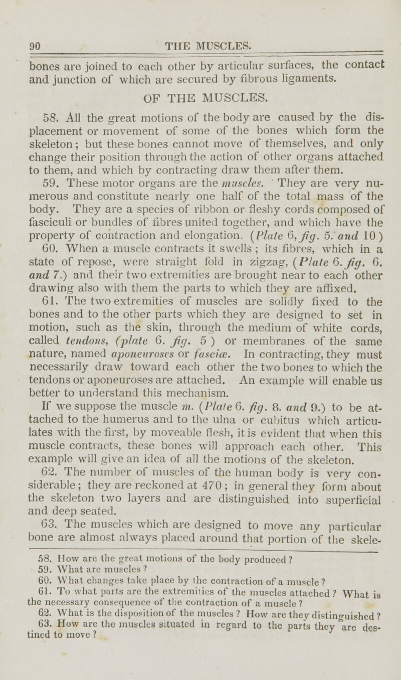 bones are joined to each other by articular surfaces, the contact and junction of which are secured by fibrous ligaments. OF THE MUSCLES. 58. All the great motions of the body are caused by the dis- placement or movement of some of the bones which form the skeleton; but these bones cannot move of themselves, and only change their position through the action of other organs attached to them, and which by contracting draw them after them. 59. These motor organs are the muscle?. ' They are very nu- merous and constitute nearly one half of the total mass of the body. They are a species of ribbon or fleshy cords composed of fasciculi or bundles of fibres united together, and which have the property of contraction and elongation. [Plate &,Jig. 5. and 10) 60. When a muscle contracts it swells ; its fibres, which in a state of repose, were straight fold in zigzag, (Plate 6. Jig. 6. and 7.) and their two extremities are brought near to each other drawing also with them the parts to which they are affixed. 61. The two extremities of muscles are solidly fixed to the bones and to the other parts which they are designed to set in motion, such as the skin, through the medium of white cords, called tendons, (plate 6. Jig. 5 ) or membranes of the same nature, named aponeuroses or fascia. In contracting, they must necessarily draw toward each other the two bones to which the tendons or aponeuroses are attached. An example will enable us better to understand this mechanism. If we suppose the muscle m. (Plate 6. fig. 8. and 9.) to be at- tached to the humerus and to the ulna or cubitus which articu- lates with the first, by moveable flesh, it is evident that when this muscle contracts, these bones will approach each other. This example will give an idea of all the motions of the skeleton. 62. The number of muscles of the human body is very con- siderable ; they are reckoned at 470 ; in general they form about the skeleton two layers and are distinguished into superficial and deep seated. 63. The muscles which are designed to move any particular bone are almost always placed around that portion of the skele- 58. How arc the great motions of the body produced ? 59. What are muscles ? 60. What changes take place by the contraction of a muscle? 61. To what parts are the extremities of the muscles attached? What is the necessary consequence of the contraction of a muscle ? 62. What is the disposition of the muscles ? How are they distinguished ? 63. How are the muscles situated in regard to the parts they are des- tined to move ?