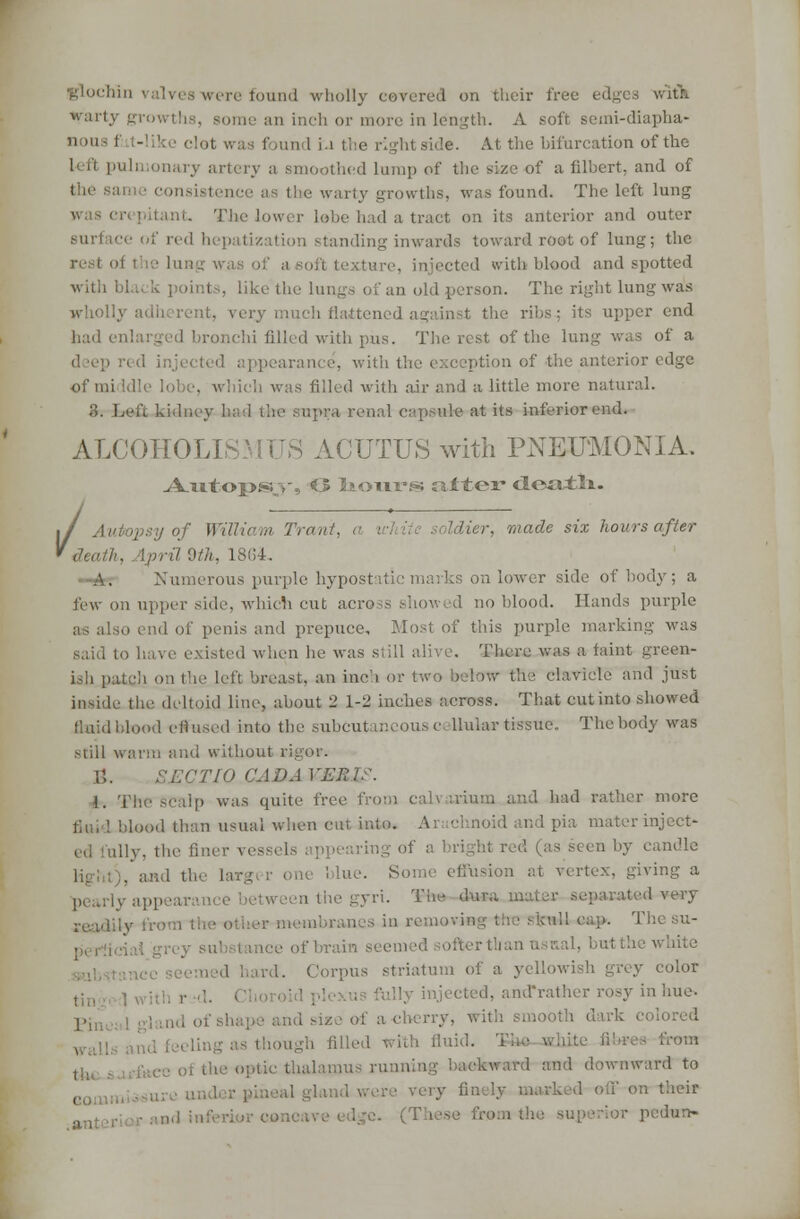 glochin valves were found wholly covered on their free edges v.ur. warty growths, some an inch or more in length. A soft semi-diapha- nous I - '. clot was found i.i the rightside. At the bifurcation of the ry artery a smoothed lump of the size of a filbert, and of the same consistence as (1,0 warty growths, was found. The left lung was crepitant The lower Lobe had a tract on its anterior and outer surface of red hepatization standing inwards toward root of lung; the i texture, injected with blood and spotted wit! like the lungs of an old person. The right lung was it. very much flattened againsl the ribs: its upper end bronchi filled with pus. The rest of the lung was of a (1 en :■« d arance', with the exception of the anterior edge Of middle lobe, which was filled with air and a little more natural. :!. Lci'i. kidney h 1 flw . r.pra renal capsule at its inferior end. ALCOHOLISM US ACUTUS with PNEUMONIA. A.vitoi>s;>, O lionrssi fitter dotttlx. 1/ Autopsy of William Trait/. . Idier, made six hours after 'tier, Uh, 1864, Numerous purple hypostatic marks on lower side of body; a few on upper side, which cut aero :s showed no blood. Hands purple if penis and prepuce. Most of this purple marking was existed when he was still alive. There was a faint green- ish patch on the left breast, an inch or few the clavicle and just inside the deltoid line, about 2 1-2 inches across. That cut into showed fluid blood ell used into the subcutaneous d llular tissue. The body was siill warm and without ri \\. SMCTIO CADAVERIC. I. The*SCalp was quite free ft dam and had rather more fluid blood than usual when cut into. Ar tchnoid and pia mater inject- ed fully, the finer v< ,earing of a bright red (as indie rger one blue. Some effusion at vertex, giving a senthegyri. The dura m very readily from the oilier 1 in removiag the sfcwil cap. Th of brain sei d, but the white id hard. Corpus striatum of a yellowish grey color fully injected, and'rathcr rosy in hue. pj a cherry, with is though filled with fluid, thalamus runniH 1 and downward to r on their ir pedun-