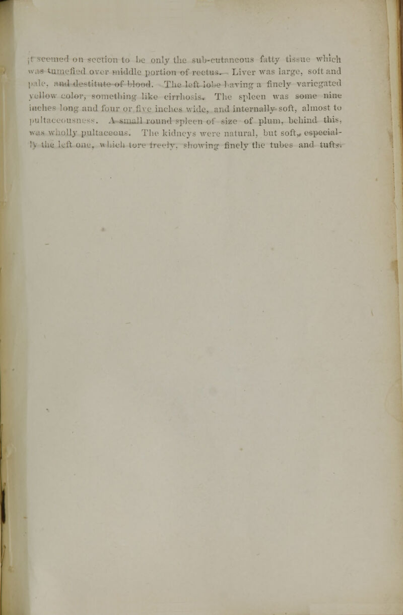 ous fatty tissue which Idle portion of reottw- Liver was large, soft and Mood. T: living-a finely variegated yellow omething like cirrhosis. The spleen was some nine >r five inches wide, and internally soft, almost to |)ultac< of plum, behind this. '. pjiltacaous. The kidneys were natural, but soft* especial- ly the vrirtg finely the tube-- and tubs.