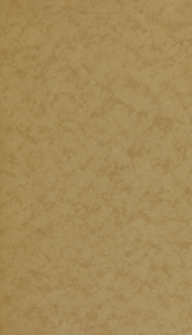 digitised image 3