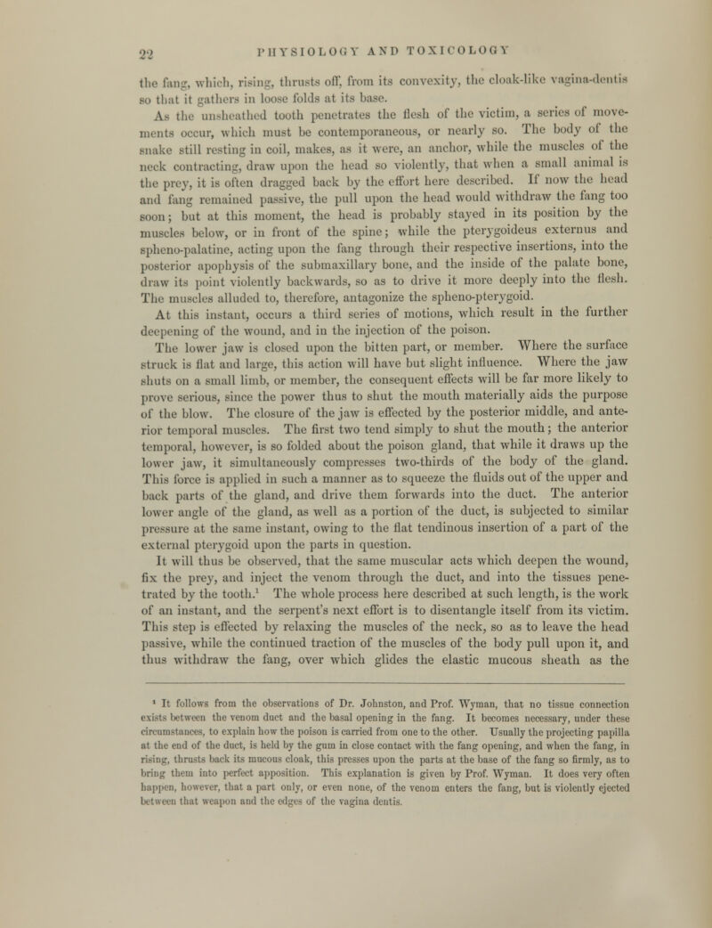 the fang, which, rising, thrusts oflf, from its convexity, the cloak-like vagina-dentis s.i that it gathers in loose folds at its base. As the unsheathed tooth penetrates the flesh of the victim, a series of move- ments occur, which must be contemporaneous, or nearly so. The body of the snake still resting in coil, makes, as it were, an anchor, while the muscles of the neck contracting, draw upon the head so violently, that when a small animal is the prey, it is often dragged back by the effort here described. If now the head and fang remained passive, the pull upon the head would withdraw the fang too Boon; but at this moment, the head is probably stayed in its position by the muscles below, or in front of the spine; while the pterygoideus externus and sphenopalatine, acting upon the fang through their respective insertions, into the posterior apophysis of the submaxillary bone, and the inside of the palate bone, draw its point violently backwards, so as to drive it more deeply into the flesh. The muscles alluded to, therefore, antagonize the spheno-pterygoid. At this instant, occurs a third series of motions, which result in the further deepening of the wound, and in the injection of the poison. The lower jaw is closed upon the bitten part, or member. Where the surface struck is flat and large, this action will have but slight influence. Where the jaw shuts on a small limb, or member, the consequent effects will be far more likely to prove serious, since the power thus to shut the mouth materially aids the purpose of the blow. The closure of the jaw is effected by the posterior middle, and ante- rior temporal muscles. The first two tend simply to shut the mouth; the anterior temporal, however, is so folded about the poison gland, that while it draws up the lower jaw, it simultaneously compresses two-thirds of the body of the gland. This force is applied in such a manner as to squeeze the fluids out of the upper and back parts of the gland, and drive them forwards into the duct. The anterior lower angle of the gland, as well as a portion of the duct, is subjected to similar pressure at the same instant, owing to the flat tendinous insertion of a part of the external pterygoid upon the parts in question. It will thus be observed, that the same muscular acts which deepen the wound, fix the prey, and inject the venom through the duct, and into the tissues pene- trated by the tooth.1 The whole process here described at such length, is the work of an instant, and the serpent's next effort is to disentangle itself from its victim. This step is effected by relaxing the muscles of the neck, so as to leave the head ]massive, while the continued traction of the muscles of the body pull upon it, and thus withdraw the fang, over which glides the elastic mucous sheath as the 1 It follows from the observations of Dr. Johnston, and Prof. Wyman, that no tissue connection exists 1 jet ween the venom duct and the basal opening in the fang. It becomes necessary, under these circumstances, to explain how the poison is carried from one to the other. Usually the projecting papilla at the end of the duct, is held by the gum in close contact with the fang opening, and when the fang, in ri>ii)Lr, thrusts back its mucous cloak, this presses upon the parts at the base of the fang so firmly, as to bring them into perfect apposition. This explanation is given by Prof. Wyman. It does very often happen, however, that a part only, or even none, of the venom enters the fang, but is violently ejected between that weapon and the edges of the vagina dentis.