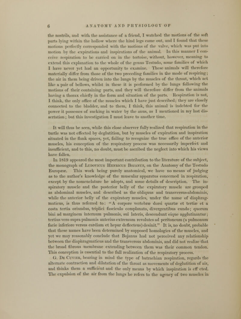the nostrils, and with the assistance of a friend, 1 watched the motions of the soft parts Lying within the hollow where the hind Legs came out, and I found that these motions perfectly corresponded with the motions of the valve, which was put into motion b\ the •expirations and inspirations of the animal. In this manner 1 con- ceive respiration to he carried on in the tortoise, without, however, meaning to extend this explanation to the whole of the genus Tostndo, some families of which I have never yet had an opportunity to examine. These animals will therefore materially differ from those of the two preceding families in the mode of respiring; the air in them being driven into the lungs by the muscles of the throat, which act like a pair of bellows, whilst in these it is performed by the LungS following the motions of their containing parts, and they will therefore differ from the animals having a thorax chiefly in the form and situation of the parts. Respiration is not, I think, the only office of the muscles which T have just described; they are closely connected to the bladder, and to them, I think, this animal is indebted for the power it possesses of sucking in water by the aims, as I mentioned in my last dis- sertation; but this investigation I must leave to another time. It will thus be seen, while this close observer fully realized that respiration in the turtle was not effected by deglutition, but by muscles of expiration and inspiration situated in the flank spaces, yet, failing to recognize the true office of the anterior muscles, his conception of the respiratory process was necessarily imperfect and insufficient, and to this, no doubt, must be ascribed the neglect into which his views have fallen. In 1819 appeared the most important contribution to the literature of the subject, the monograph of Linovicus Henbicus BoJANUS, on the Anatomy of the Testudo Europeeae. This work being purely anatomical, wc have no means of judging as to the author's knowledge of the muscular apparatus concerned in respiration, except by the nomenclature he adopts, and some details of description. The in- spiratory muscle and the posterior belly of the expiratory muscle arc grouped as abdominal muscles, and described as the obliquus and transversus-abdominis, while the anterior belly of the expiratory muscles, under the name of diaphrag- maticus, is thus referred to: A corpore vertebrae dorsi quartoe et tcrtioc et a costa tertia oriundus, triplici fasciculo complanato, divergentibus eundo; quorum bini ad marginem internum pulmonis, sui lateris, descendunt eique agglutinantur; tertius vero supra pulmonis anterius extremum revolutcs ad peritoneum (a pulmonnm facie inferiore versus cardiam et hepar deflccteus) desinit. It is, no doubt, probable that those names have been determined by supposed homologies of the muscles, and yet we may reasonably conclude that Bojanus had not perceived any relationship between the diaphragmaticus and the transversus abdominis, and did not realize that the broad fibrous membrane extending between them Avas their common tendon. This conception is essential to the full realization of the respiratory process. G. De Cuvier, bearing in mind the type of batrachian respiration, regards the alternate contraction and dilatation of the throat as movements of deglutition of air, and thinks them a sufficient and the only means by which inspiration is eff cted. The expulsion of the air from the lungs he refers to the agency of two muscles in