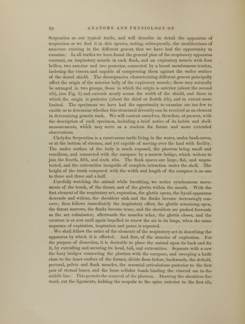 Serpentina as our typical turtle, and will describe in detail the apparatus of respiration as we find it in this species, noting, subsequently, tin' modifications of structure existing in the different genera that we have had the opportunity to examine. In all turtles we have found the general plan of tin1 respirator) apparatus constant, an inspiratory nmsele in each Hank, and an expiratory muscle with four bellies, two anterior and two posterior, connected by a broad membranous tendon, inclosing the viscera and capable of compressing them against the under surface of the dorsal shield. The discrepancies characterizing different genera principally affect the origin of the anterior belly of the expiratory muscle; these may naturally be arranged in two groups, those in which the origin is anterior (about the second rib), (see Fig. 5) and extends nearly across the width of the shield, and those in which the origin is posterior (about the third or fourth rib), and in extent more limited. The specimens we have had the opportunity to examine are too few to enable us to determine whether this structural diversity can be received as an element in determining generic rank. We will content ourselves, therefore, at present, with the description of each specimen, including a brief notice of its habits and shell* measurements, which may serve as a nucleus for future and more extended observations. Chelydra Serpentina is a carnivorous turtle living in the wratcr, under bank-eaves, or at the bottom of streams, and yet capable of moving over the land with facility. The under surface of the body is mnch exposed, the plastron being small and cruciform, and connected with the carapace by a narrow bridge, which widens to join the fourth, fifth, and sixth ribs. The Hank spaces are large, flat, and unpro- tected, and the extremities incapable of complete retraction under the shell. The height of the trunk compared with the width and length of the carapace is as one to three and three and a half. Carefully watching the animal while breathing, we notice synchronous move- ments of the trunk, of the throat, and of the glottis within the mouth. With the first element of the respiratory act, expiration, the glottis opens, the hyoid apparatus descends and widens, the shoulders sink and the flanks become increasingly con- cave; then follows immediately the inspiratory effort, the glottis remaining open, the throat narrows, the flanks become tense, and the shoulders arc pushed forwards as the act culminates; afterwards the muscles relax, the glottis closes, and the creature is at rest until again impelled to renew the air in its lungs, when the same sequence of expiration, inspiration and pause is repeated. AYe shall follow the order of the elements of the respiratory act in describing the apparatus by which it is effected. And first, of the muscles of expiration. For the purpose of dissection, it is desirable to place the animal upon its back and fix it, by extending and securing its head, tail, and extremities. Separate with a saw the bony bridges connecting the plastron with the carapace, and sweeping a knife close to the inner surface of the former, divide from before, backwards, the deltoid, pectoral, pelvic and flank muscles, the acromial articulations posterior to the first pair of sternal bones, and the loose cellular bands binding the visceral sac to the middle line. This permits the removal of the plastron. Drawing the shoulders for- ward, cut the ligaments, holding the scapulae to the spine anterior to the first rib,