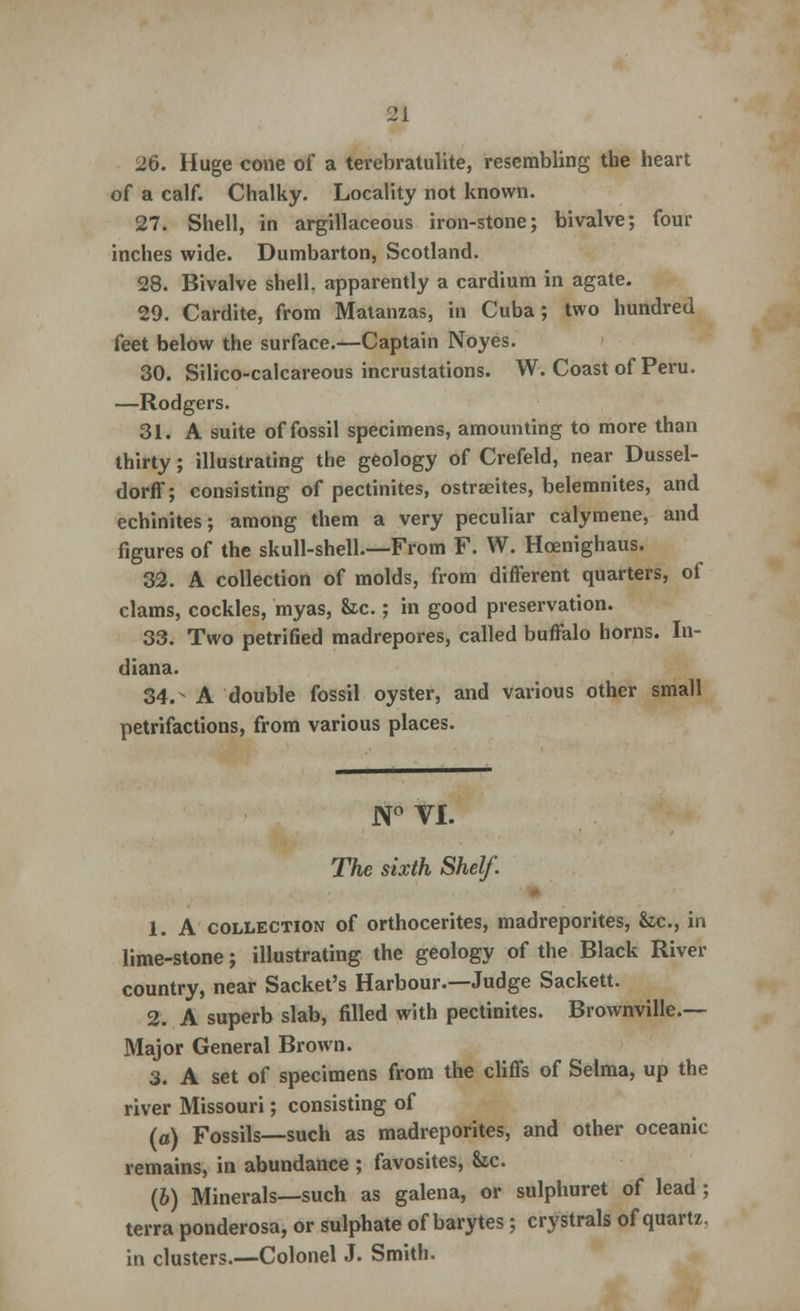 26. Huge cone of a terebratulite, resembling the heart of a calf. Chalky. Locality not known. 27. Shell, in argillaceous iron-stone; bivalve; four inches wide. Dumbarton, Scotland. 28. Bivalve shell, apparently a cardium in agate. 29. Cardite, from Matanzas, in Cuba; two hundred feet below the surface.—Captain Noyes. 30. Silico-calcareous incrustations. W. Coast of Peru. —Rodgers. 31. A suite of fossil specimens, amounting to more than thirty; illustrating the geology of Crefeld, near Dussel- dorfT; consisting of pectinites, ostraeites, belemnites, and echinites; among them a very peculiar calymene, and figures of the skull-shell.—From F. W. Hcenighaus. 32. A collection of molds, from different quarters, of clams, cockles, myas, he.; in good preservation. 33. Two petrified madrepores, called buffalo horns. In- diana. 34.- A double fossil oyster, and various other small petrifactions, from various places. N° VI. The sixth Shelf. 1. A collection of orthocerites, madreporites, Sec, in lime-stone; illustrating the geology of the Black River country, near Sacket's Harbour.—Judge Sackett. 2. A superb slab, filled with pectinites. Brownville.— Major General Brown. 3. A set of specimens from the cliffs of Selma, up the river Missouri; consisting of (a) Fossils—such as madreporites, and other oceanic remains, in abundance ; favosites, he. (6) Minerals—such as galena, or sulphuret of lead ; terra ponderosa, or sulphate of barytes; crystrals of quartz, in clusters.—Colonel J. Smith.