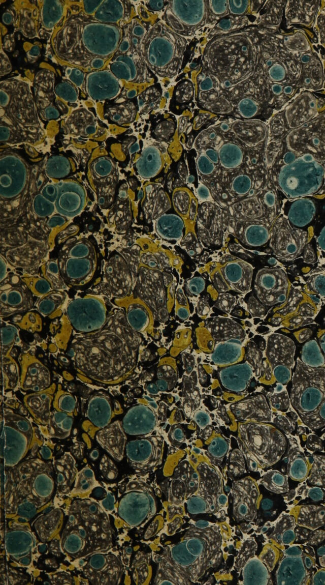 No text description is available for this image