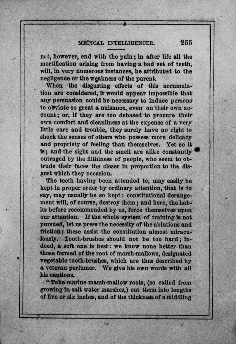 not, however, end with the pain; in after life all the mortification arising from having a bad set of teeth, will, in very numerous instances, be attributed to the negligence or the weakness of the parent. When the disgusting effects of this accumula- tion are considered, it would appear impossible that any persuasion could be necessary to induce persons to obviate so great a nuisance, even on their own ac- count; or, if they are too debased to procure their own comfort and cleanliness at the expense of a very little care and trouble, they surely have no right to shock the senses of others who possess more delicacy and propriety of feeling than themselves. Yet so it is; and the sight and the smell are alike constantly ' outraged by the filthiness of people, who seem to ob- trude their faces the closer in proportion to the dis- gust which they occasion. The teeth having been attended to, may easily be kept in proper order by ordinary attention, that is to say, may usually be so kept: constitutional derange- ment will, of course, destroy them; and here, the hab- its before recommended by us, force themselves upon our attention. If the whole system of training is not pursued, let us press the necessity of the ablutions and friction: these assist the constitution almost miracu- lously. Tooth-brushes should not be too hard; In- deed, a soft one Is best: we know none better than those formed of the root of marsh-mallows, designated vegetable tooth-brushes, which are thus described by a veteran perfumer. We give his own words with all his cautions.  Take marine marsh-mallow roots, (so called from growing In salt water marshes,) cut them into lengths of five or six inches, and of the thickness of a middling