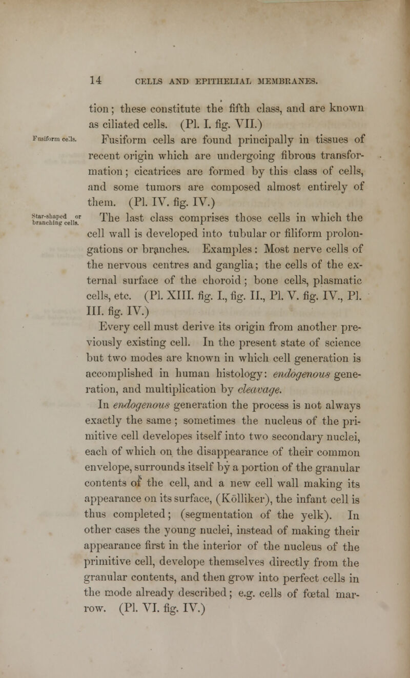 tion; these constitute the fifth class, and are known as ciliated cells. (PI. I. fig. VII.) Fusiform ce'.K Fusiform cells are found principally in tissues of recent origin which are undergoing fibrous transfor- mation ; cicatrices are formed by this class of cells, and some tumors are composed almost entirely of them. (PI. IV. fig. IV.) SnaSSgidk' ^he last c^ass comprises those cells in which the cell wall is developed into tubular or filiform prolon- gations or branches. Examples : Most nerve cells of the nervous centres and ganglia; the cells of the ex- ternal surface of the choroid; bone cells, plasmatic cells, etc. (PL XIII. fig. I., fig. II., PI. V. fig. IV., PL III. fig. IV.) Every cell must derive its origin from another pre- viously existing cell. In the present state of science but two modes are known in which cell generation is accomplished in human histology: endogenous gene- ration, and multiplication by cleavage. In endogenous generation the process is not always exactly the same ; sometimes the nucleus of the pri- mitive cell developes itself into two secondary nuclei, each of which on the disappearance of their common envelope, surrounds itself by a portion of the granular contents 01 the cell, and a new cell wall making its appearance on its surface, (Kolliker), the infant cell is thus completed; (segmentation of the yelk). In other cases the young nuclei, instead of making their appearance first in the interior of the nucleus of the primitive cell, develope themselves directly from the granular contents, and then grow into perfect cells in the mode already described; e.g. cells of foetal mar- row. (PL VI. fig. IV.)