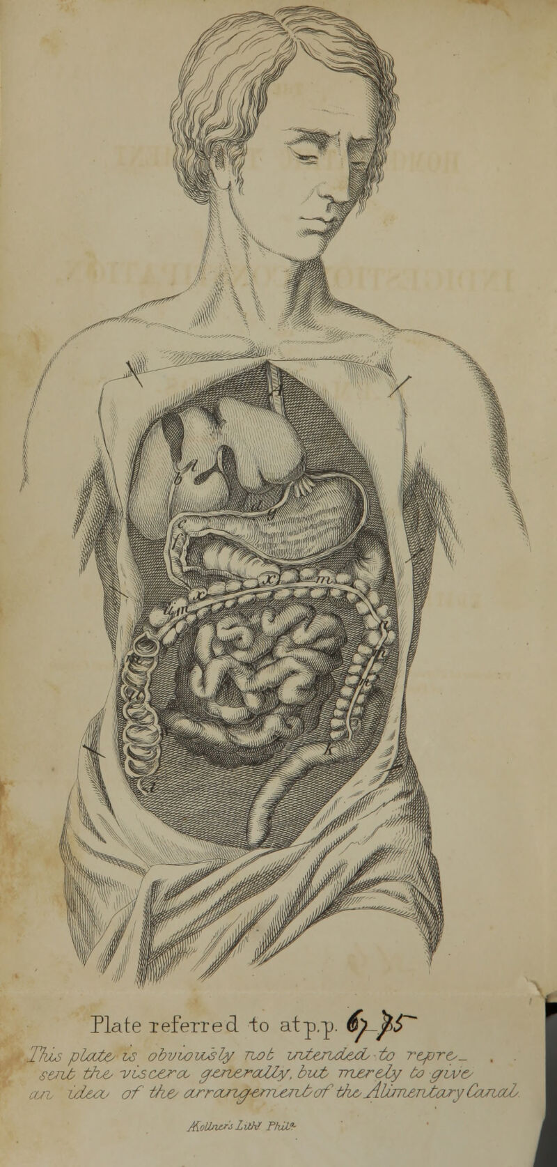 Plate Teferred to at p.p. 6l^ft£~~ ^Jims ploct& i*s obvwwsly nob intended; to r-tpres- sent th^ -viscera; gr&rb&raZby, but, merely to gruve/ i&O/ of th.& arrajz0-&mxridaf' th^ AWiieniajry CommZ MoUUw'sLilK» Phil*-