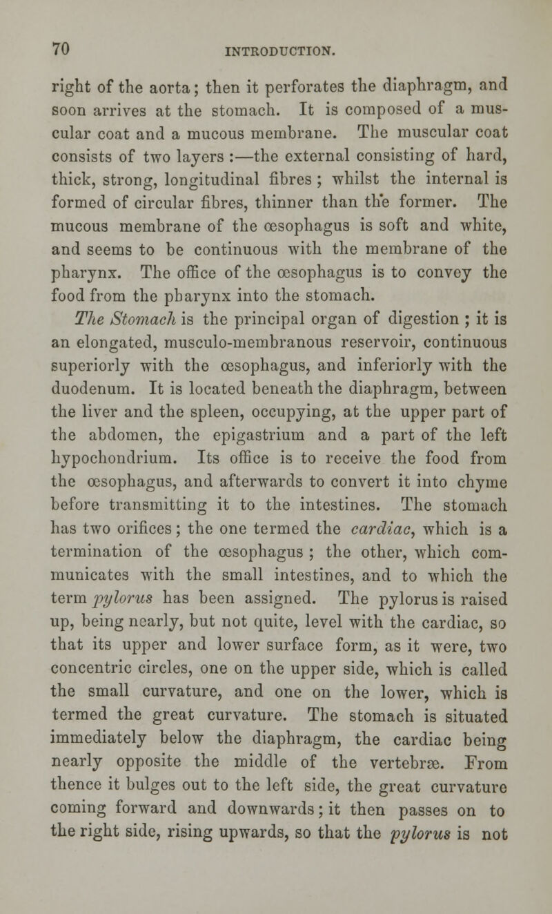 right of the aorta; then it perforates the diaphragm, and soon arrives at the stomach. It is composed of a mus- cular coat and a mucous membrane. The muscular coat consists of two layers :—the external consisting of hard, thick, strong, longitudinal fibres ; whilst the internal is formed of circular fibres, thinner than the former. The mucous membrane of the oesophagus is soft and white, and seems to be continuous with the membrane of the pharynx. The office of the oesophagus is to convey the food from the pharynx into the stomach. The Stomach is the principal organ of digestion ; it is an elongated, musculo-membranous reservoir, continuous superiorly with the oesophagus, and inferiorly with the duodenum. It is located beneath the diaphragm, between the liver and the spleen, occupying, at the upper part of the abdomen, the epigastrium and a part of the left hypochondrium. Its office is to receive the food from the oesophagus, and afterwards to convert it into chyme before transmitting it to the intestines. The stomach has two orifices; the one termed the cardiac, which is a termination of the oesophagus ; the other, which com- municates with the small intestines, and to which the term pylorus has been assigned. The pylorus is raised up, being nearly, but not quite, level with the cardiac, so that its upper and lower surface form, as it were, two concentric circles, one on the upper side, which is called the small curvature, and one on the lower, which is termed the great curvature. The stomach is situated immediately below the diaphragm, the cardiac being nearly opposite the middle of the vertebrae. From thence it bulges out to the left side, the great curvature coming forward and downwards; it then passes on to the right side, rising upwards, so that the pylorus is not