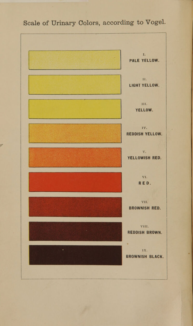 Scale of Urinary Colors, according to Vogel.