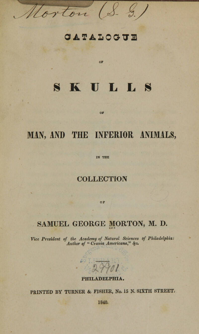 CATALOGUE SKULLS MAN, AND THE INFERIOR ANIMALS, COLLECTION SAMUEL GEORGE MORTON, M. D. Vice President of the Academy of Natural Sciences of Philadelphia: Author of  Crania Americana,' Sfc ' 7 PHILADELPHIA. PRINTED BY TURNER & FISHER, No. 15 N. SIXTH STREET. 1840.