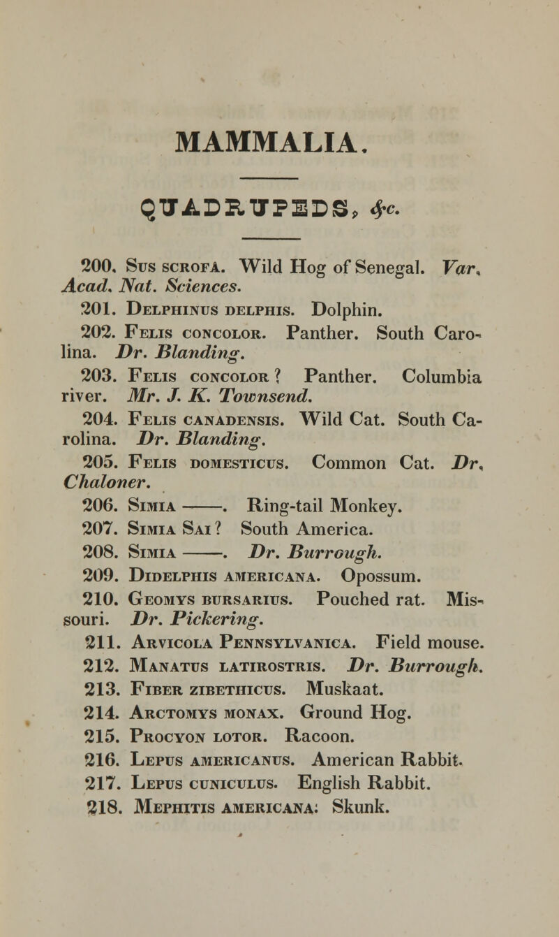 MAMMALIA. QTJADHTFEDS, *c 200. Sus scrofa. Wild Hog of Senegal. Var% Acad. Nat. Sciences. 201. Delphinus delphis. Dolphin. 202. Felis concolor. Panther. South Caro- lina. Dr. Blanding. 203. Felis concolor ? Panther. Columbia river. Mr. J. K. Townsend. 204. Felis canadensis. Wild Cat. South Ca- rolina. Dr. Blanding. 205. Felis domesticus. Common Cat. Dr< Chaloner. 206. Simia . Ring-tail Monkey. 207. Simia Sai ? South America. 208. Simia . Dr. Burrougk. 209. DlDELPHIS AMERICANA. OpOSSUm. 210. Geomys bursarius. Pouched rat. Mis- souri. Dr. Pickering. 211. Arvicola Pennsylvania. Field mouse. 212. Manatus latirostris. Dr. Burrough. 213. Fiber zibethicus. Muskaat. 214. Arctomys monax. Ground Hog. 215. Procyon lotor. Racoon. 216. Lepus americanus. American Rabbit. 217. Lepus cuniculus. English Rabbit. 218. Mephitis Americana: Skunk.