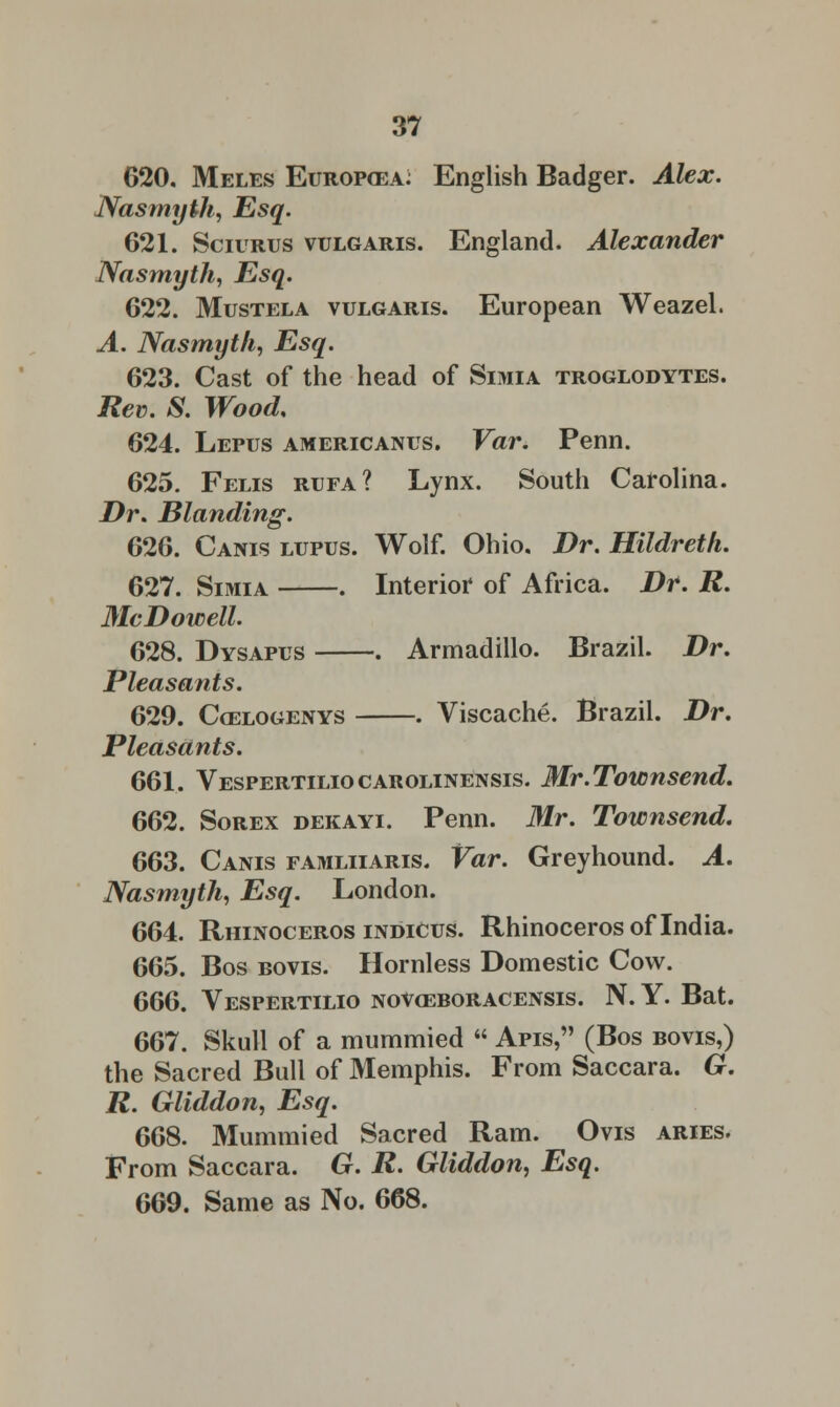 620. Meles Europcea: English Badger. Alex. Nasmyth, Esq. 621. Sciurus vulgaris. England. Alexander Nasmyth, Esq. 622. Mustela vulgaris. European Weazel. A. Nasmyth, Esq. 623. Cast of the head of Simia troglodytes. Rev. S. Wood, 624. Lepus americanus. Var. Penn. 625. Felis rufa? Lynx. South Carolina. Dr. Blanding. 626. Cams lupus. Wolf. Ohio. Dr. Hildreth. 627. Simia . Interior of Africa. Dr. R. McDowell. 628. Dysapus . Armadillo. Brazil. Dr. Pleasants. 629. Coslogenys . Viscache. Brazil. Dr. Pleasants. 661. Vespertiliocarolinensis. Mr.Townsend. 662. Sorex dekayi. Penn. Mr. Townsend. 663. Canis famliiaris. Var. Greyhound. A. Nasmyth, Esq. London. 664. Rhinoceros indicus. Rhinoceros of India. 665. Bos bovis. Hornless Domestic Cow. 666. Vespertilio novoeboracensis. N. Y. Bat. 667. Skull of a mummied  Apis, (Bos bovis,) the Sacred Bull of Memphis. From Saccara. G. R. Gliddon, Esq. 668. Mummied Sacred Ram. Ovis aries. From Saccara. G. R. Gliddon, Esq. 669. Same as No. 668.