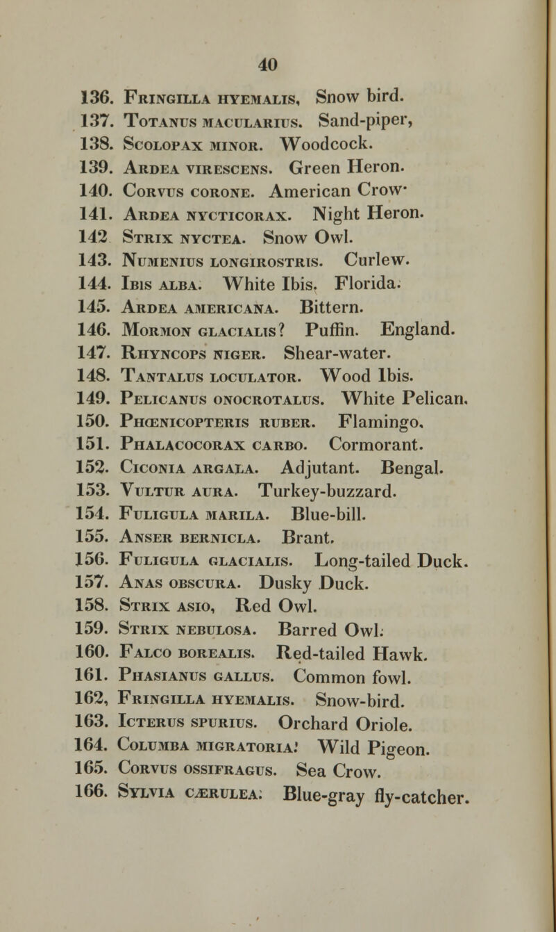 136. Fringilla hyemalis. Snow bird. 137. Totanus MACULARirs. Sand-piper, 138. Scolopax minor. Woodcock. 139. Ardea virescens. Green Heron. 140. Corvus corone. American Crow 141. Ardea nycticorax. Night Heron. 142 Strix nyctea. Snow Owl. 143. Numenius longirostris. Curlew. 144. Ibis alba. White Ibis. Florida. 145. Ardea Americana. Bittern. 146. Mormon glacialis? Puffin. England. 147. Rhyncops niger. Shear-water. 148. Tantalus loculator. Wood Ibis. 149. Pelicanus onocrotalus. White Pelican, 150. Phcenicopteris ruber. Flamingo, 151. Phalacocorax carbo. Cormorant. 152. Ciconia argala. Adjutant. Bengal. 153. Vultur aura. Turkey-buzzard. 154. Fuligula marila. Blue-bill. 155. Anser bernicla. Brant. 156. Fuligula glacialis. Long-tailed Duck. 157. Anas obscura. Dusky Duck. 158. Strix asio, Red Owl. 159. Strix nebulosa. Barred Owl: 160. Falco borealis. Red-tailed Hawk. 161. Phasianus gallus. Common fowl. 162. Fringilla hyemalis. Snow-bird. 163. Icterus spurius. Orchard Oriole. 164. Columba migratoria: Wild Pigeon. 165. Corvus ossifragus. Sea Crow. 166. Sylvia cerulea; Blue-gray fly-catcher.