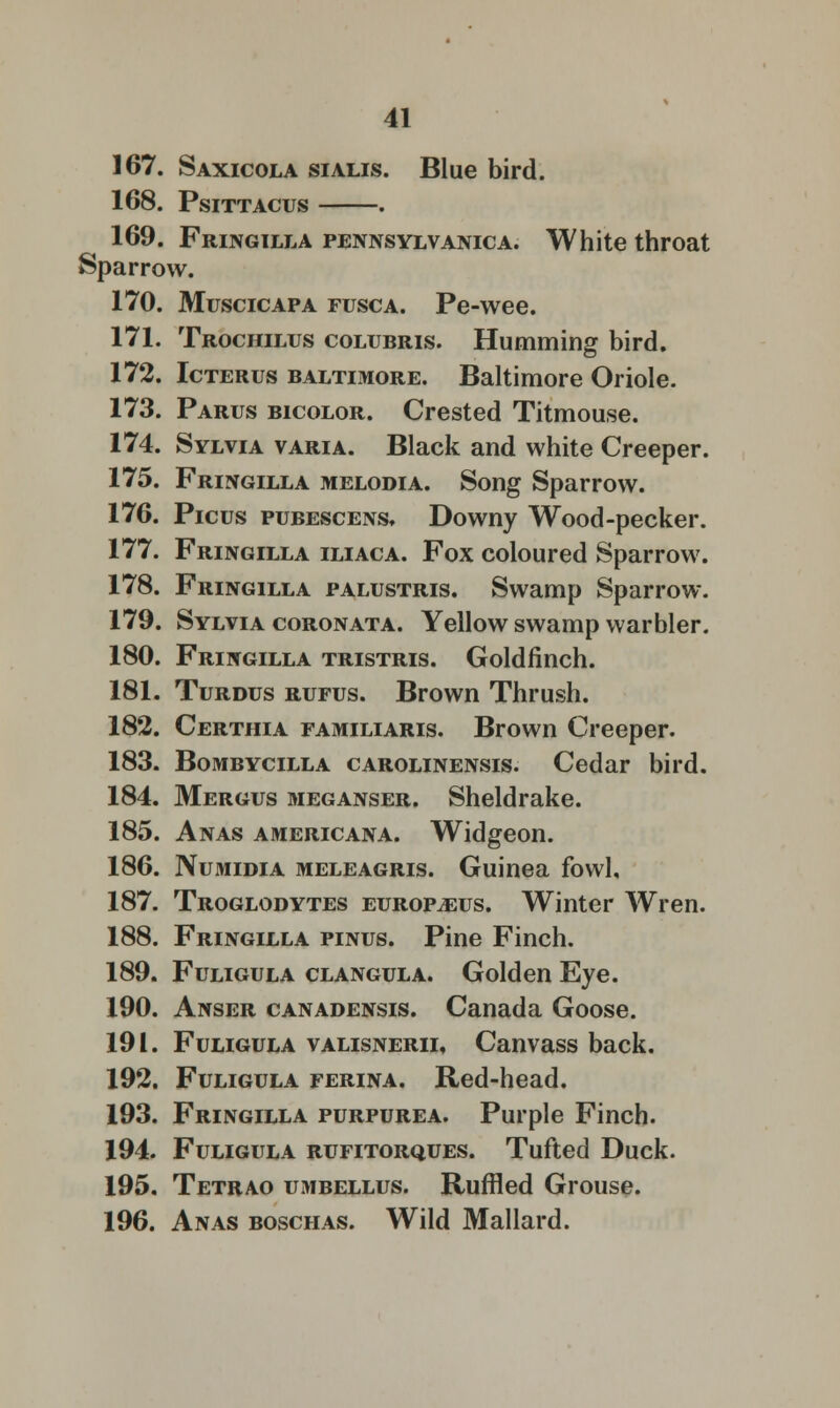 167. Saxicola sialis. Blue bird. 168. PsiTTACUS . 169. Fringilla pennsylvanica. White throat Sparrow. 170. Muscicapa fusca. Pe-wee. 171. Trochilus colubris. Humming bird. 172. Icterus Baltimore. Baltimore Oriole. 173. Parus bicolor. Crested Titmouse. 174. Sylvia varia. Black and white Creeper. 175. Fringilla melodia. Song Sparrow. 176. Picus pubescens. Downy Wood-pecker. 177. Fringilla iliaca. Fox coloured Sparrow. 178. Fringilla palustris. Swamp Sparrow. 179. Sylvia coronata. Yellow swamp warbler. 180. Fringilla tristris. Goldfinch. 181. Turdus rufus. Brown Thrush. 182. Certhia familiaris. Brown Creeper. 183. Bombycilla CAROLiNENsis. Cedar bird. 184. Mergus meganser. Sheldrake. 185. Anas Americana. Widgeon. 186. Numidia meleagris. Guinea fowl, 187. Troglodytes europ^eus. Winter Wren. 188. Fringilla pinus. Pine Finch. 189. Fuligula clangula. Golden Eye. 190. Anser canadensis. Canada Goose. 191. Fuligula valisnerii. Canvass back. 192. Fuligula ferina. Red-head. 193. Fringilla purpurea. Purple Finch. 194. Fuligula rufitorques. Tufted Duck. 195. Tetrao umbellus. Ruffled Grouse. 196. Anas boschas. Wild Mallard.