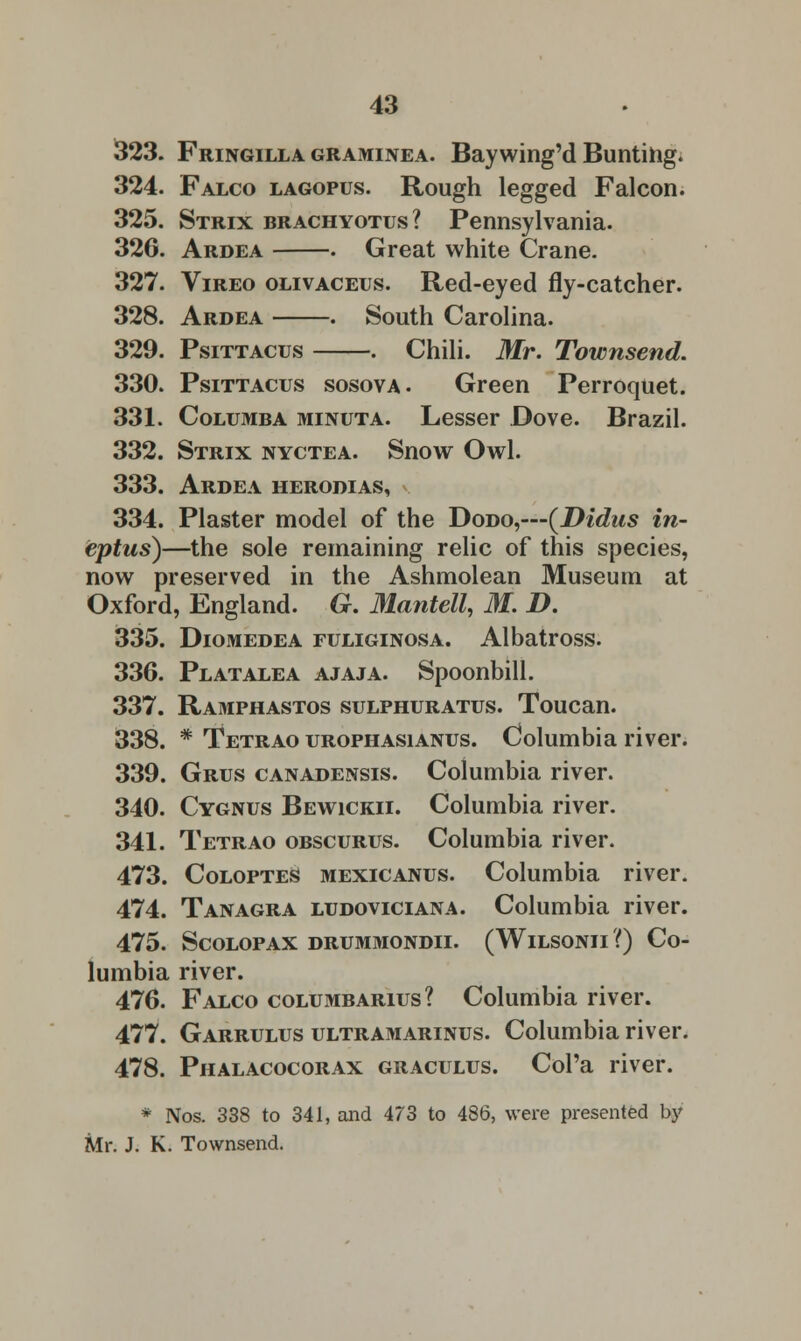 323. Fringilla graminea. Baywing'd Bunting. 324. Falco lagopus. Rough legged Falcon. 325. Strix brachyotus? Pennsylvania. 32G. Ardea . Great white Crane. 327. Vireo olivaceus. Red-eyed fly-catcher. 328. Ardea . South Carolina. 329. Psittacus . Chili. Mr. Townsend. 330. Psittacus sosova. Green Perroquet. 331. Columba minuta. Lesser Dove. Brazil. 332. Strix nyctea. Snow Owl. 333. Ardea herodias, 334. Plaster model of the Dodo,—(Didus in- eptus)—the sole remaining relic of this species, now preserved in the Ashmolean Museum at Oxford, England. G. Mantell, M. D. 335. Diomedea fuliginosa. Albatross. 336. Platalea ajaja. Spoonbill. 337. Ramphastos sulphuratus. Toucan. 338. * Tetrao urophasianus. Columbia river. 339. Grus canadensis. Columbia river. 340. Cygnus Bewickii. Columbia river. 341. Tetrao obscurus. Columbia river. 473. Coloptes mexicanus. Columbia river. 474. Tanagra ludoviciana. Columbia river. 475. Scolopax drummondii. (Wilsonii ?) Co- lumbia river. 476. Falco columbarius? Columbia river. 477. Garrulus ultramarinus. Columbia river. 478. Phalacocorax graculus. Col'a river. * Nos. 338 to 341, and 473 to 486, were presented by Mr. J. K. Townsend.