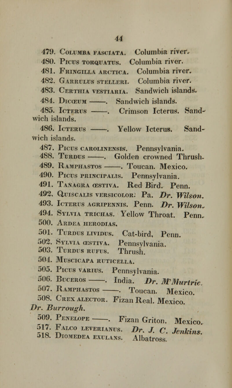 u 479. Columba fasciata. Columbia riven 480. Picus torquatus. Columbia river. 481. Fringilla arctica. Columbia river. 482. Garrulus stelleri. Columbia river. 483. Certhia vestiaria. Sandwich islands. 484. Dhxeum . Sandwich islands. 485. Icterus . Crimson Icterus. Sand^ wich islands. 486. Icterus . Yellow Icterus. Sand- wich islands. 487. Picus carolinensis. Pennsylvania. 488. Turdus . Golden crowned Thrush. 489. Rampiiastos . Toucan. Mexico. 490. Picus principalis. Pennsylvania. 491. Tanagra gestiva. Red Bird. Penn. 492. Quiscalis versicolor: Pa. Dr. Wilson. 493. Icterus agripennis. Penn. Dr. Wilson, 494. Sylvia trichas. Yellow Throat. Pernio 500. Ardea herodias. 501. Turdus lividus. Cat-bird, Penn. 502. Sylvia estiva. Pennsylvania. 503. Turdus rufus. Thrush. 504. MUSCICAPA RUTICELLA. 505. Picus varius. Pennsylvania. 506. Buceros . India. Dr. MMnrtrie 507. Ramphastos . Toucan. Mexico. 508. Crexalector. Fizan Real. Mexico. Dr. Burrough. 509. Penelope . Fizan Griton. Mexico 517. Falco leverianus. Dr. J. C. Jenkins. »18. Diomedea exulans. Albatross,