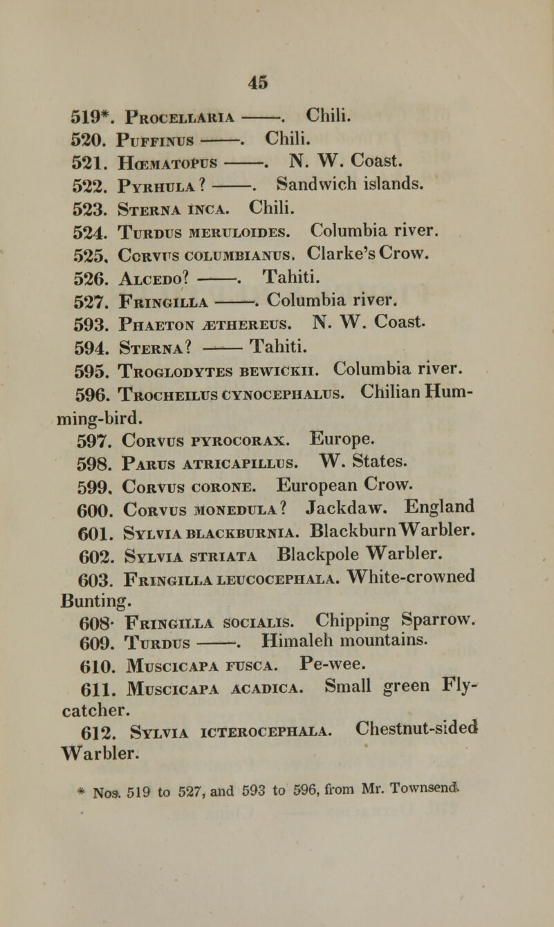 519*. Procellaria . Chili. 520. Puffinus . Chili. 521. Hcematopus . N. W. Coast. 522. Pyrhula ? . Sandwich islands. 523. Sterna inca. Chili. 524. Turdus meruloides. Columbia river. 525. Ccrvits columbianus. Clarke's Crow. 526. Alcedo? . Tahiti. 527. Fringilla . Columbia river. 593. Phaeton ^thereus. N. W. Coast. 594. Sterna? Tahiti. 595. Troglodytes bewickii. Columbia river. 596. Trocheilus cynocephalus. Chilian Hum- ming-bird. 597. Corvus pyrocorax. Europe. 598. Parus atricapillus. W. States. 599. Corvus corone. European Crow. 600. Corvus monedula? Jackdaw. England 601. Sylvia blackburnia. Blackburn Warbler. 602. Sylvia striata Blackpole Warbler. 603. Fringilla leijcocephala. White-crowned Bunting. 608- Fringilla socialis. Chipping Sparrow. 609. Turdus ~. Himaleh mountains. 610. Muscicapa fusca. Pe-wee. 611. Muscicapa acadica. Small green Fly- catcher. 612. Sylvia icterocephala. Chestnut-sided Warbler. * Nos. 519 to 527, and 593 to 596, from Mr. Townsend