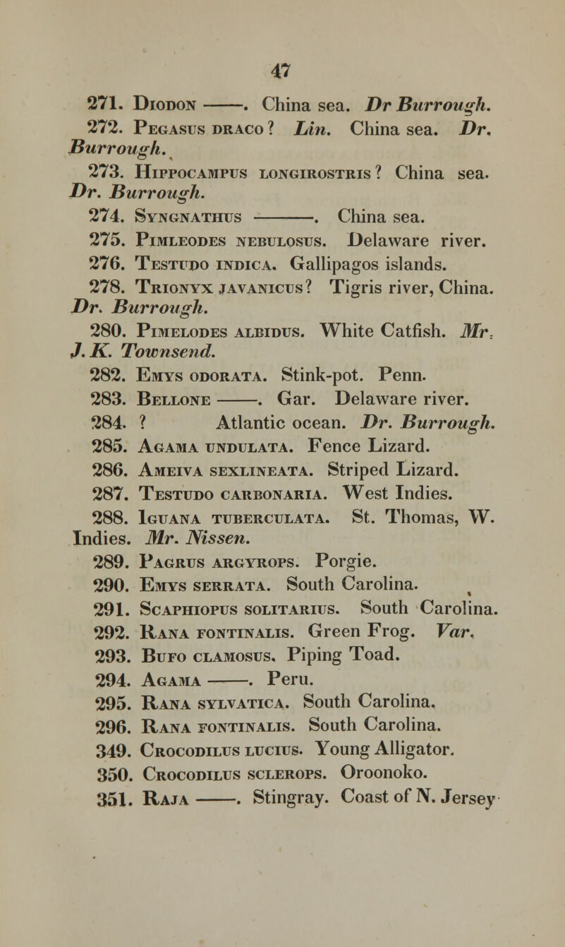 271. Diodon . China sea. Dr Burrough. 272. Pegasus draco ? Lin. China sea. Dr. Burrough. 273. Hippocampus longirostris ? China sea. Dr. Burrough. 274. Syngnathus . China sea. 275. Pimleodes nebulosus. Delaware river. 276. Testudo indica. Gallipagos islands. 278. Trionyx javanicus ? Tigris river, China. Dr. Burrough. 280. Pimelodes albidus. White Catfish. Mr.. J.K. Townsend. 282. Emys odorata. Stink-pot. Penn. 283. Bellone . Gar. Delaware river. 284. ? Atlantic ocean. Dr. Burrough. 285. Agama undulata. Fence Lizard. 286. Ameiva sexlineata. Striped Lizard. 287. Testudo carbonaria. West Indies. 288. Iguana tuberculata. St. Thomas, W. Indies. Mr. Nissen. 289. Pagrus argyrops. Porgie. 290. Emys serrata. South Carolina. 291. Scaphiopus solitarius. South Carolina. 292. Rana fontinalis. Green Frog. Var. 293. Bufo clamosus. Piping Toad. 294. Agama . Peru. 295. Rana sylvatica. South Carolina. 296. Rana fontinalis. South Carolina. 349. Crocodilus lucius. Young Alligator. 350. Crocodilus sclerops. Oroonoko. 351. Raja . Stingray. Coast of N. Jersey