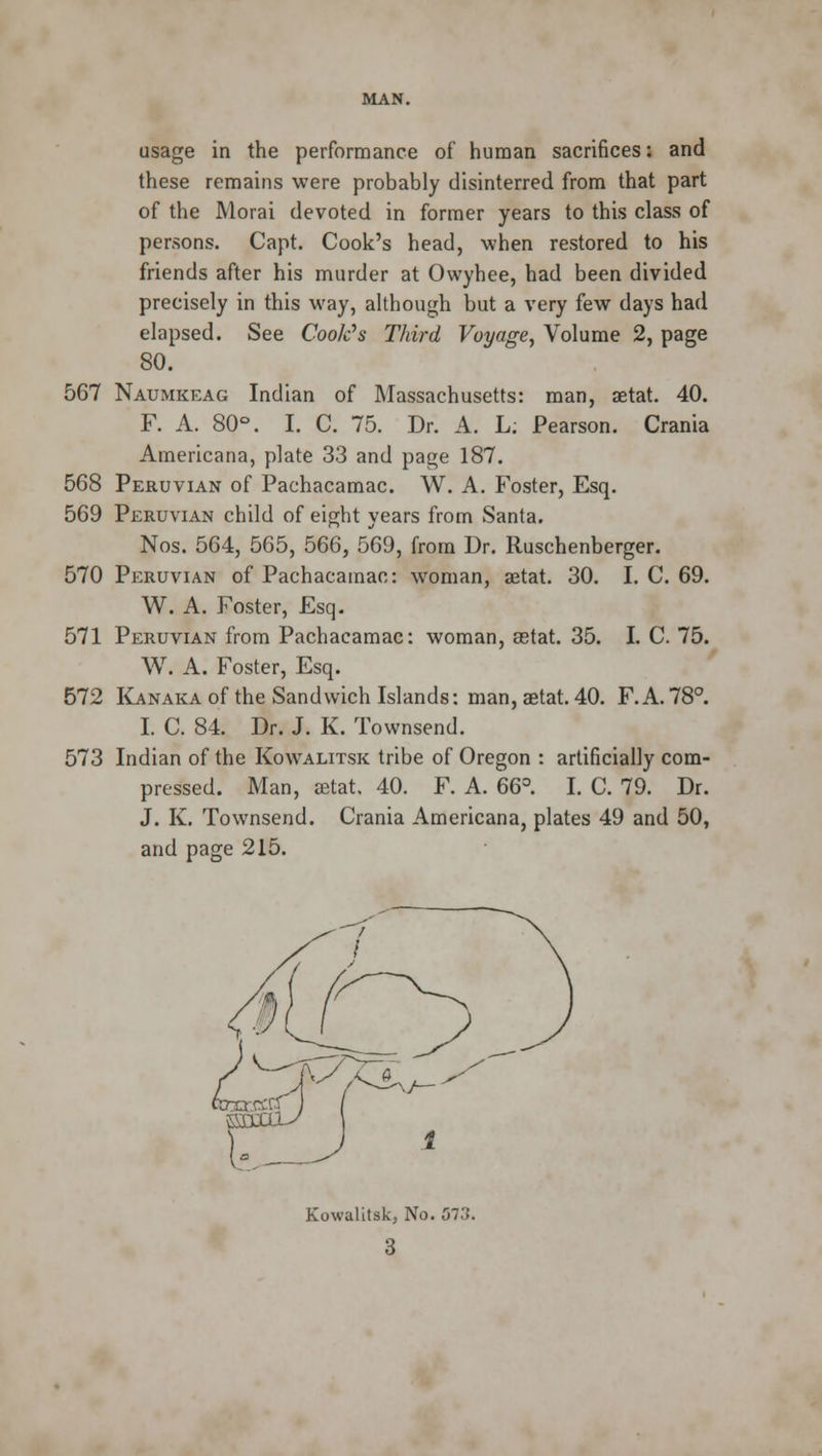 usage in the performance of human sacrifices: and these remains were probably disinterred from that part of the Morai devoted in former years to this class of persons. Capt. Cook's head, when restored to his friends after his murder at Owyhee, had been divided precisely in this way, although but a very few days had elapsed. See Coolers Third Voyage, Volume 2, page 80. 567 Naumkeag Indian of Massachusetts: man, aetat. 40. F. A. 80°. I. C. 75. Dr. A. L; Pearson. Crania Americana, plate 33 and page 187. 568 Peruvian of Pachacamac. W. A. Foster, Esq. 569 Peruvian child of eight years from Santa. Nos. 564, 565, 566, 569, from Dr. Ruschenberger. 570 Peruvian of Pachacamac: woman, aetat. 30. I. C. 69. W. A. Foster, Esq. 571 Peruvian from Pachacamac: woman, aetat. 35. I. C. 75. W. A. Foster, Esq. 572 Kanaka of the Sandwich Islands: man, aetat. 40. F. A. 78°. I. C. 84. Dr. J. K. Townsend. 573 Indian of the Kowalitsk tribe of Oregon : artificially com- pressed. Man, aetat. 40. F. A. 66°. I. C. 79. Dr. J. K. Townsend. Crania Americana, plates 49 and 50, and page 215. Kowalitsk, No. 573. 3