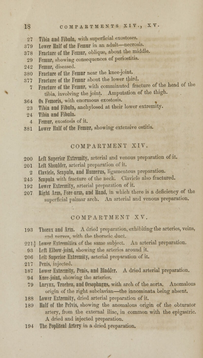 27 Tibia and Fibula, with superficial exostoses. 379 Lower Half of the Femur in an adult—necrosis. 378 Fracture of the Femur, oblique, about the middle. 29 Femur, showing consequences of periostitis. 242 Femur, diseased. 380 Fracture of the Femur near the knee-joint. 377 Fracture of the Femur about the lower third. 7 Fracture of the Femur, with comminuted fracture of the head of the tibia, involving the joint. Amputation of the thigh. 364 Os Femoris, with enormous exostosis. ^ 23 Tibia and Fibula, anchylosed at their lower extremity. 24 Tibia and Fibula. 4 Femur, exostosis of it. 381 Lower Half Of the Femur, showing extensive ostitis. COMPARTMENT XIV. 200 Left Superior Extremity, arterial and venous preparation of it. 201 Left Shoulder, arterial preparation of it. 2 Clavicle, Scapula, and Humerus, ligamentous preparation. 245 Scapula with fracture of the neck. Clavicle also fractured. 192 Lower Extremity, arterial preparation of it. 207 Right Arm, Fore arm, and Hand, in which there is a deficiency of the superficial palmar arch. An arterial and venous preparation. COMPARTMENT XV. 193 Thorax and Arm. A dried preparation, exhibiting the arteries, veins, •.yirl T.prvps, with the thoracic duct. 221^ Lower Extremities of the same subject. Au arterial preparation. 93 Left Elbow-joint, showing the arteries around it. 206 Left Superior Extremity, arterial preparation of it. 217 Penis, injected. 187 Lower Extremity, Penis, and Bladder. A dried arterial preparation. 94 Knee-joint, showing the arteries. 79 Larynx, Trachea, and Oesophagus, with arch of the aorta. Anomalous origin of the right subclavian—the innominata being absent. 188 Lower Extremity, dried arterial preparation of it. 189 Half of the Pelvis, showing the anomalous origin of the obturator artery, from the external iliac, in common with the epigastric. A dried and injected preparation. 194 The Popliteal Artery in a dried preparation.