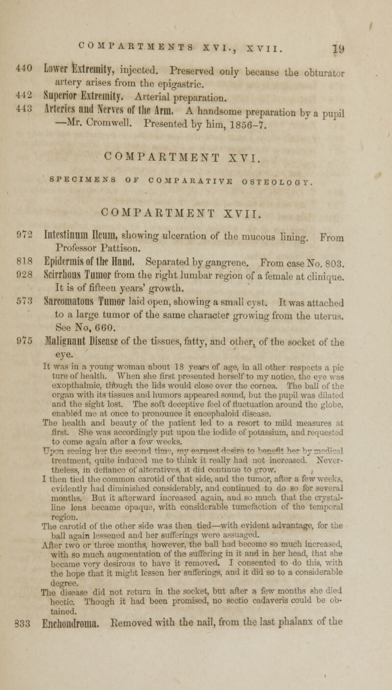 440 Lower Extremity, injected. Preserved only because the obturator artery arises from the epigastric. 442 Superior Extremity. Arterial preparation. 443 Arteries ami Nerves of the Arm. A handsome preparation by a pupil —Mr. Cromwell. Presented by him, 1856-7. COMPARTMENT XVI. SPECIMENS OF COMPARATIVE OSTEOLOGY. COMPARTMENT XVII. 972 Illtestinum Ileum, showing ulceration of the mucous lining. From Professor Pattison. 818 Epidermis of tllf Hand. Separated by gangrene. From case No. 803. 928 Scirrhous Tumor from the right lumbar region of a female at cli It is of fifteen years' growth. 573 Sarcomatous Tumor laid open, showing a small cyst. It was attached to a large tumor of the same character growing from the uterus. See No, 680. 975 Malignant Disease of the tissues, fatty, and otherx of the socket of the eye. It was in a young woman about 18 years of age, in all other respocts a pic ture of health. When she first presented herself to my notice, the eye was exopthalmic, tlfough the lids would close over the cornea. The ball of the organ with its tissues and humors appeared sound, but the pupil was dilated and the sight lost. The soft deceptive feel of fluctuation around the globe, '''ed me at onco to pronounce it encephaloid disease. The health and beauty of the patient led to a resort to mild measures at first. She was accordingly put upon the iodide of potassium, and re< to come again after a few weeks. Upon seeing her the second time, my earnest desire to benefit her by medical treatment, quite indue id me to think it really had not increased. Never- theless, in defiance of alteratives, it did continue to grow. I then tied the common carotid of that side, and the tumor, afl r a fewweeks, evidently had diminished considerably, and continued to do so for s months. But it afterward increased again, and so much that the c line lens became opaque, with considerable tumefaction of the te: ion. The carotid of the other side was then tied—with evident advantage, for the ball again lessened and her sufferings were assuaged. After two or three months, however, the ball had become so much increased, with so much augmentation of the suffering in it and in her head, J hat she became very desirous to have it removed. I consented to do this, with the hope that it might lessen her sufferings, and it did so to a considerable ree. The disease did not return in the socket, but after a few months she died hectic. Though it had been promised, no sectio cadaveria could be ob- tained. 333 Elichoildroma. Removed with the nail, from the last phalanx of the