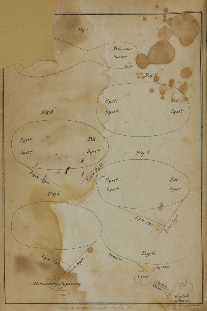 Tu,l -///////■v//«/•// m/u-k